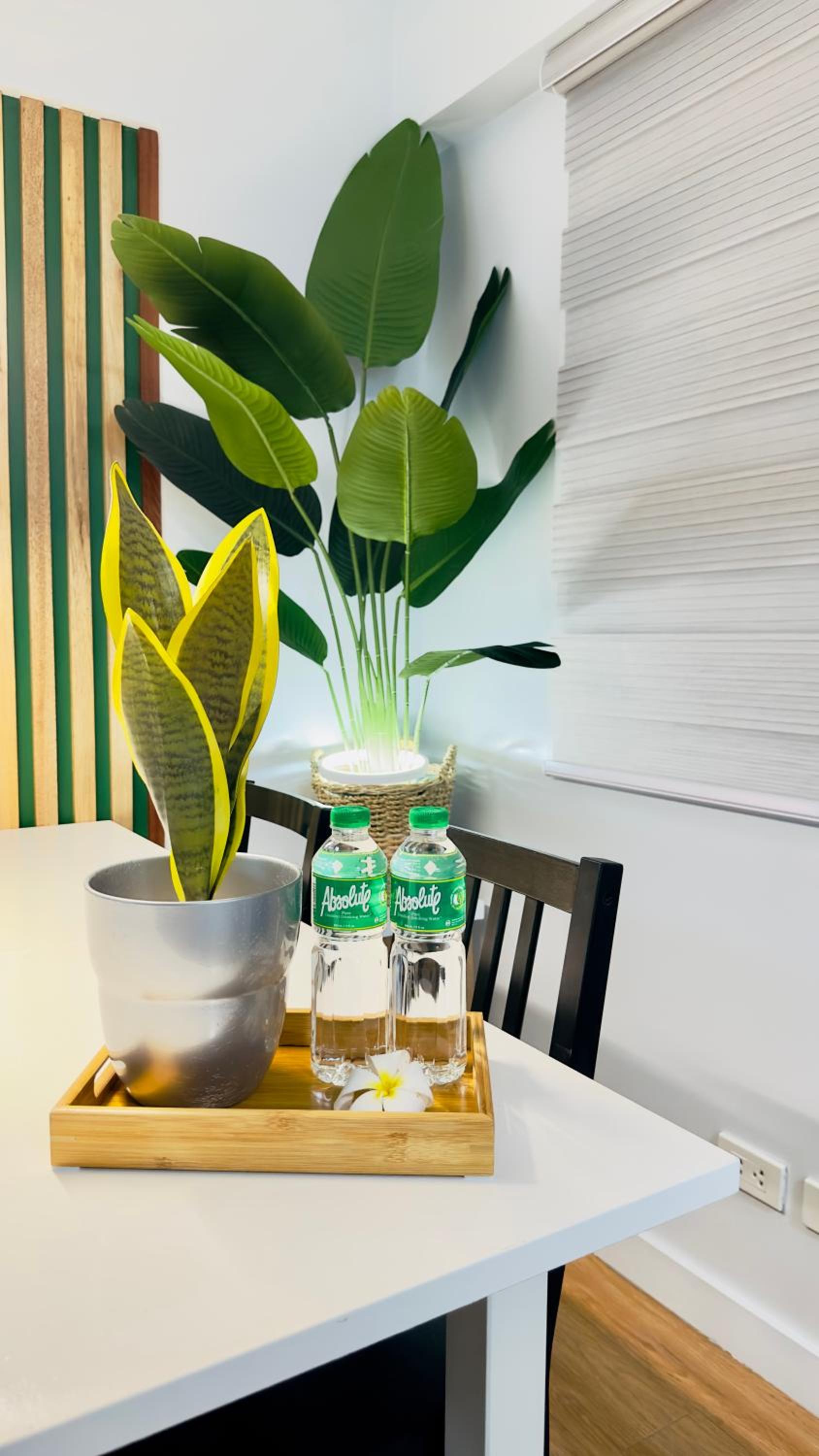 Beyond Zurich HOME Staycation