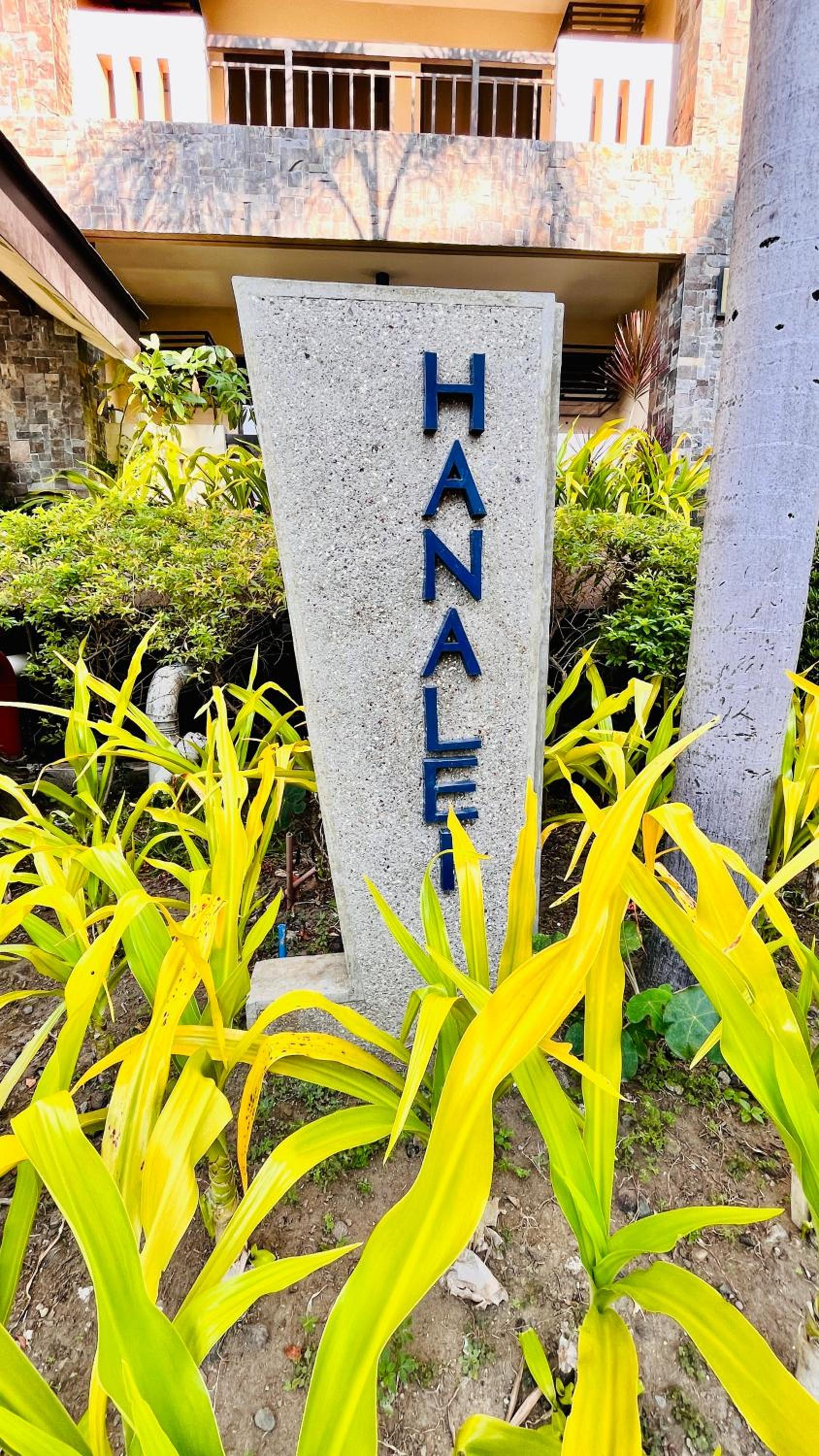 Beyond Zurich HOME Staycation
