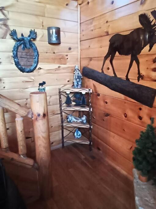 Photo 31