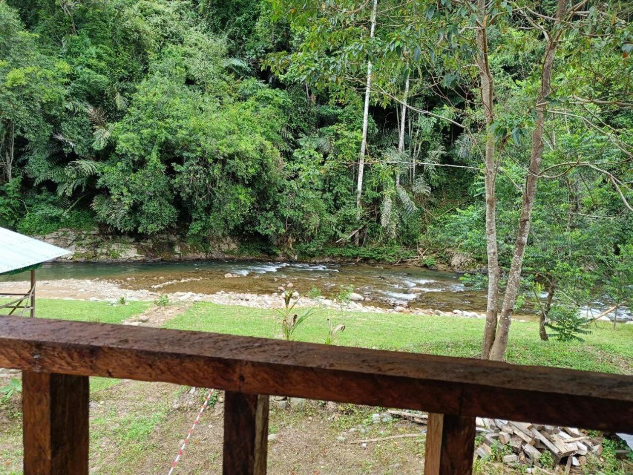 Kuriou Lodge & Campsite view 2