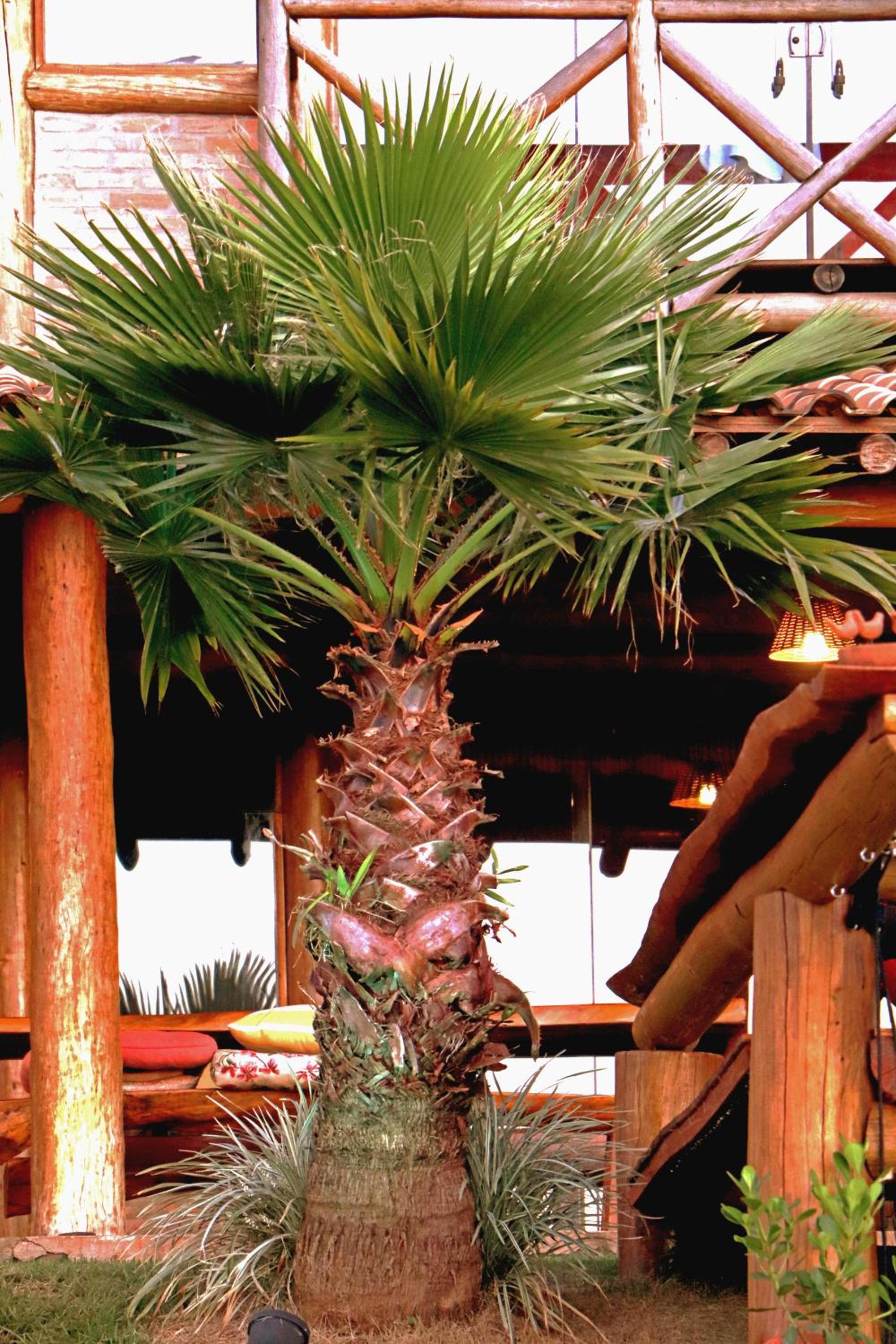 Rancho Recanto da Serra