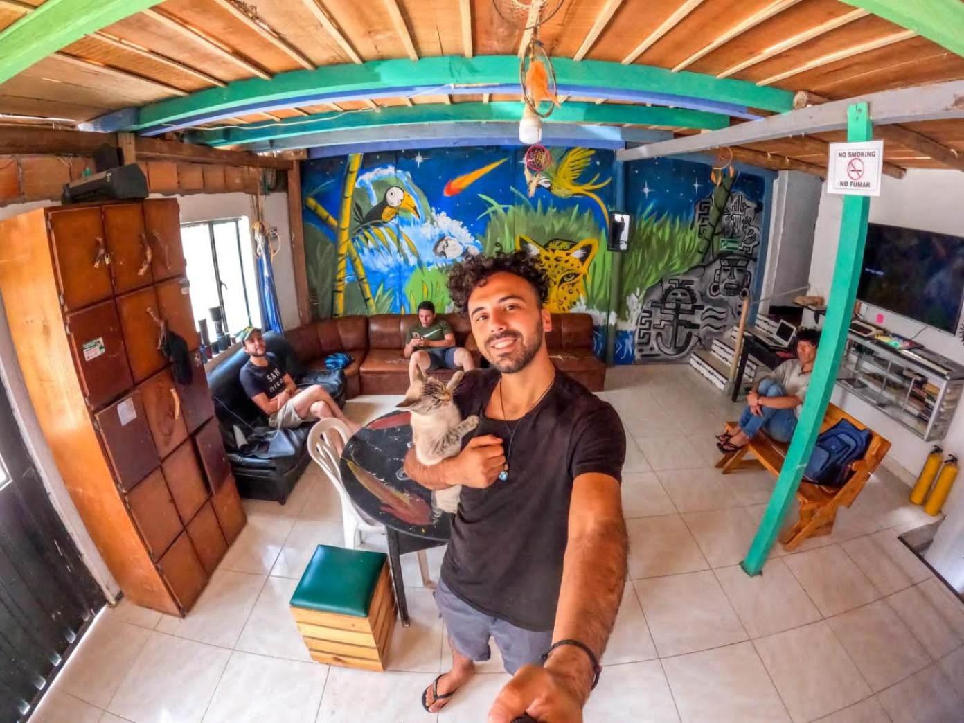 Hotel Hostal Música y Arte - Image 1