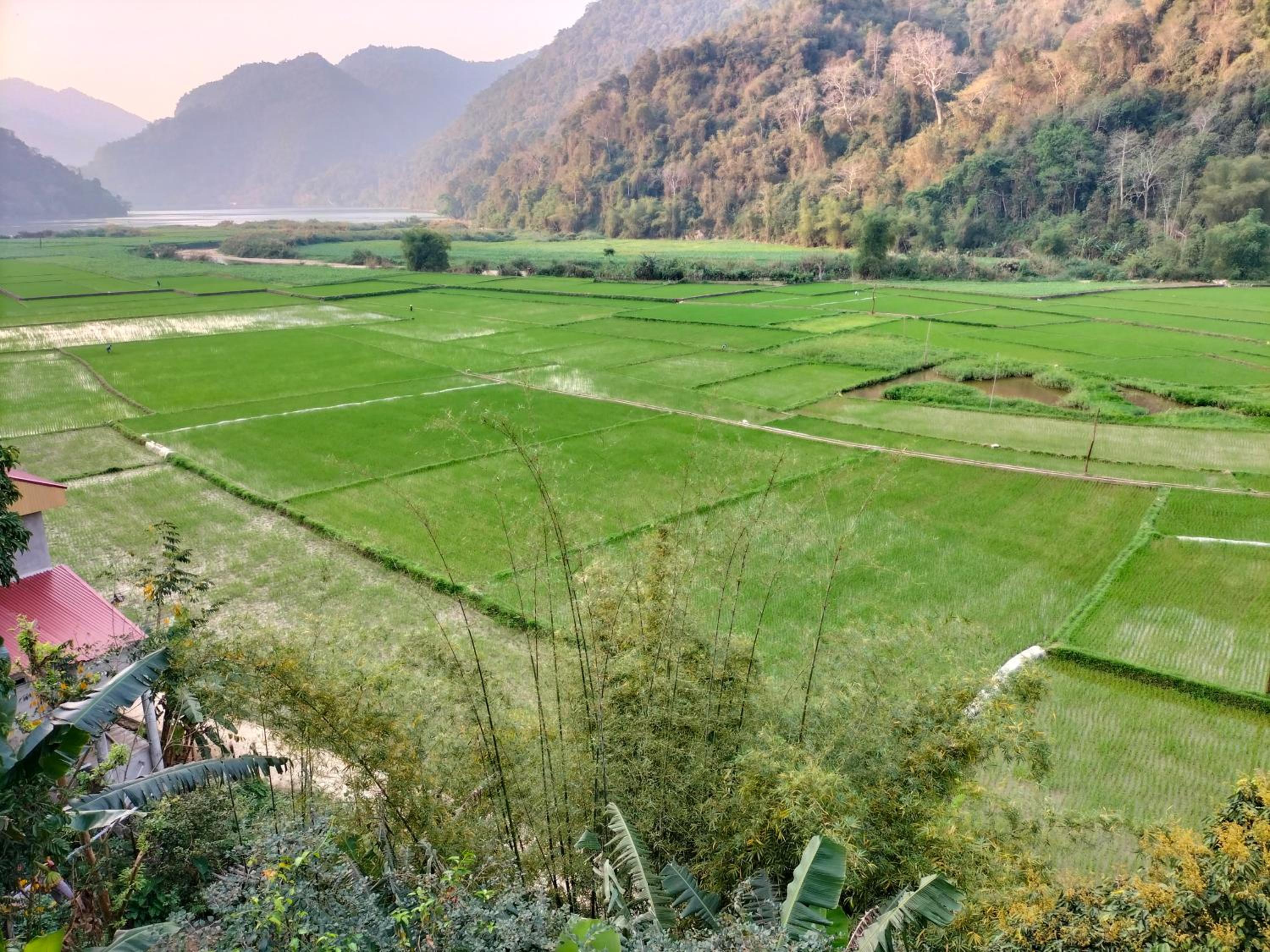 Nam Pé Tày Homestay - View hồ Ba Bể view 4