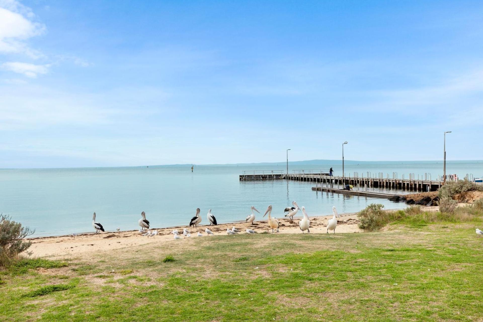 Jetty View