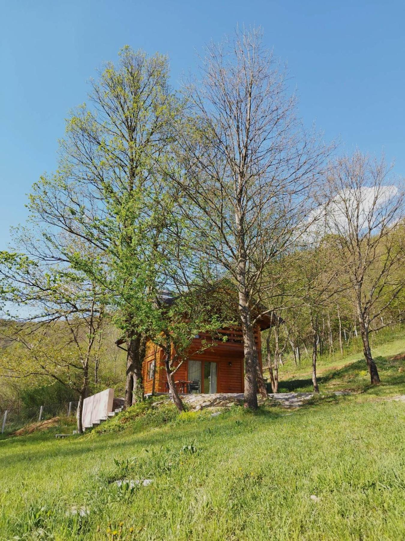 Kuća u šumi - Forest house near National park Una - Air Spa Lohovo