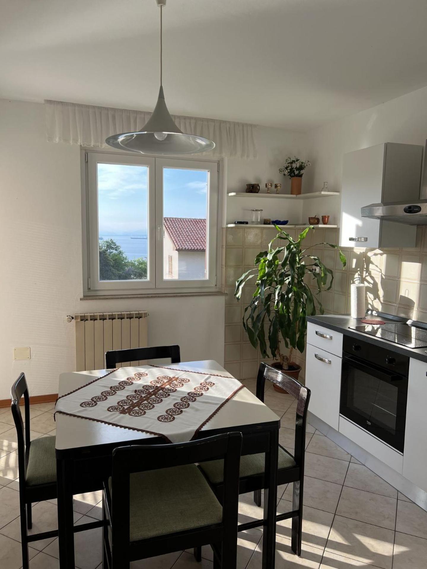 Apartments Pavletic view 4