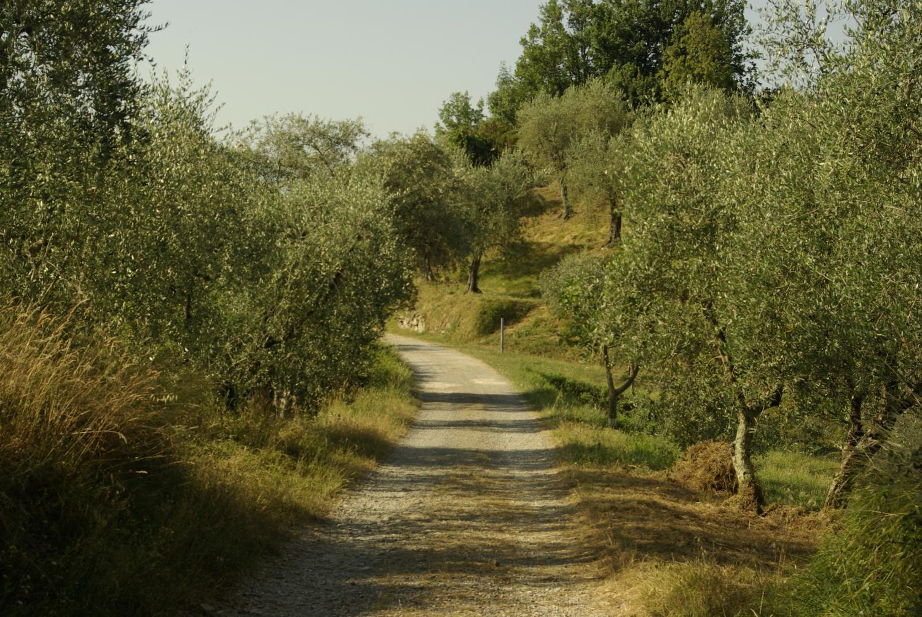 Photo 33