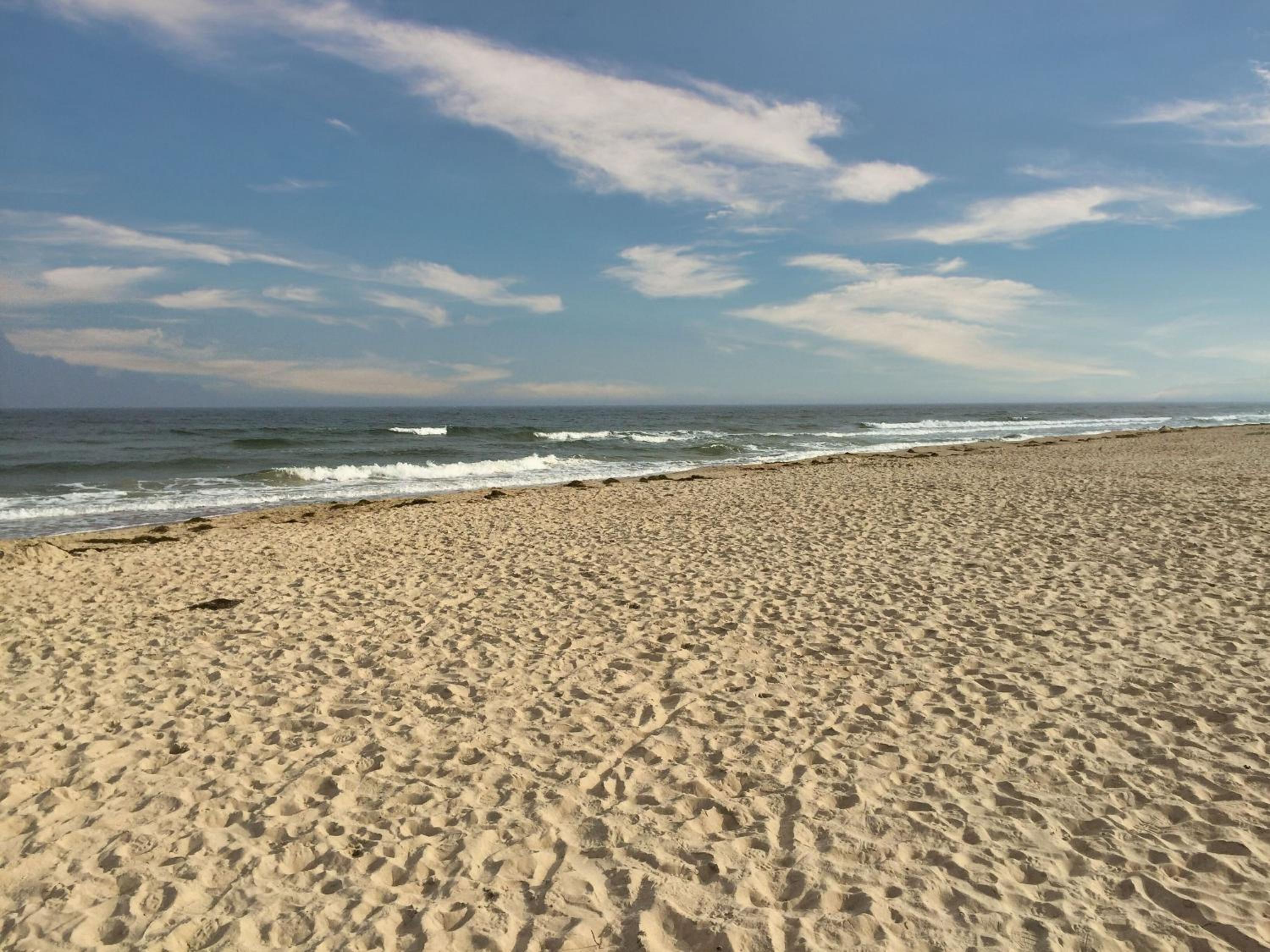 strandnahes Ferienhaus mit Kamin und Terrasse - Ferienhaus Seerobbe