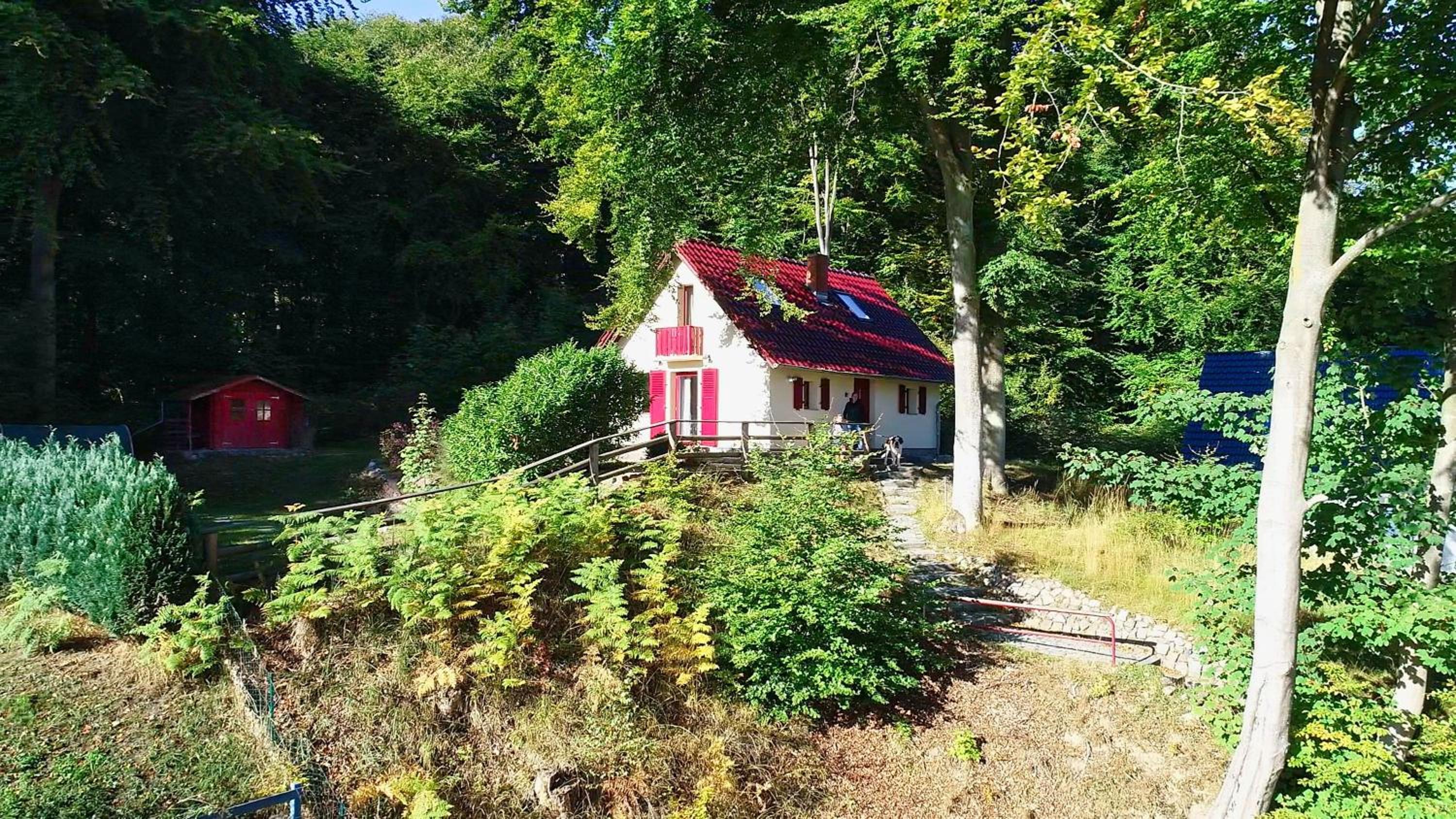 idyllische Lage, eigene Fasssauna, Kamin und Terrasse - Ferienhaus Rotkäppchen