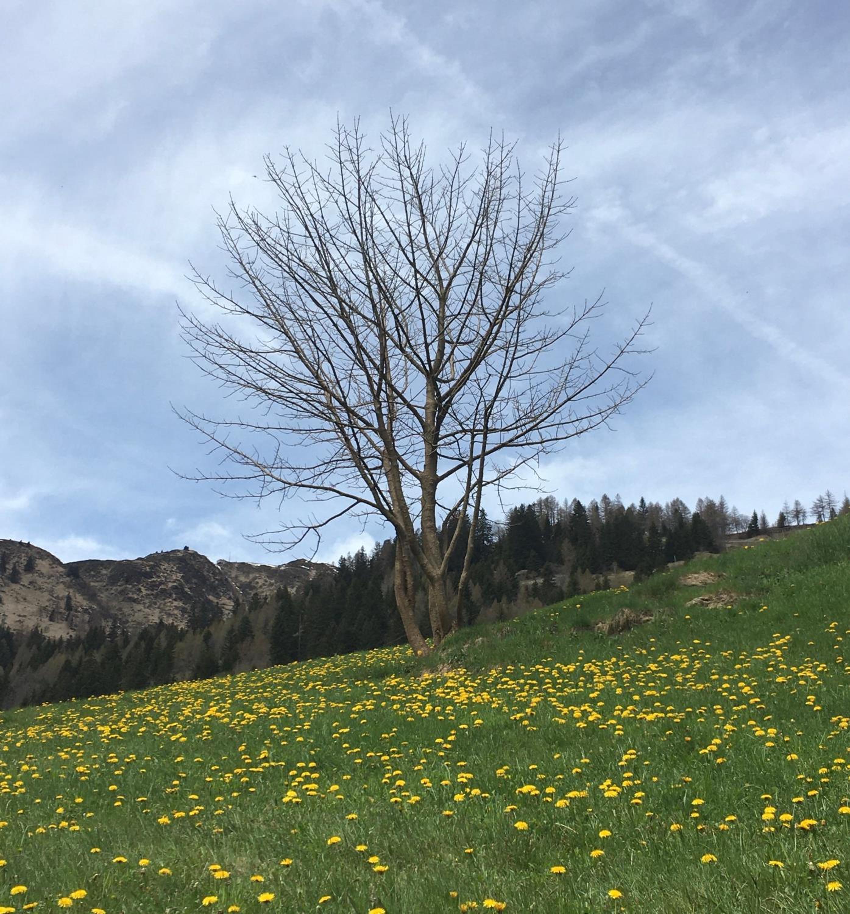B&B Gottardo