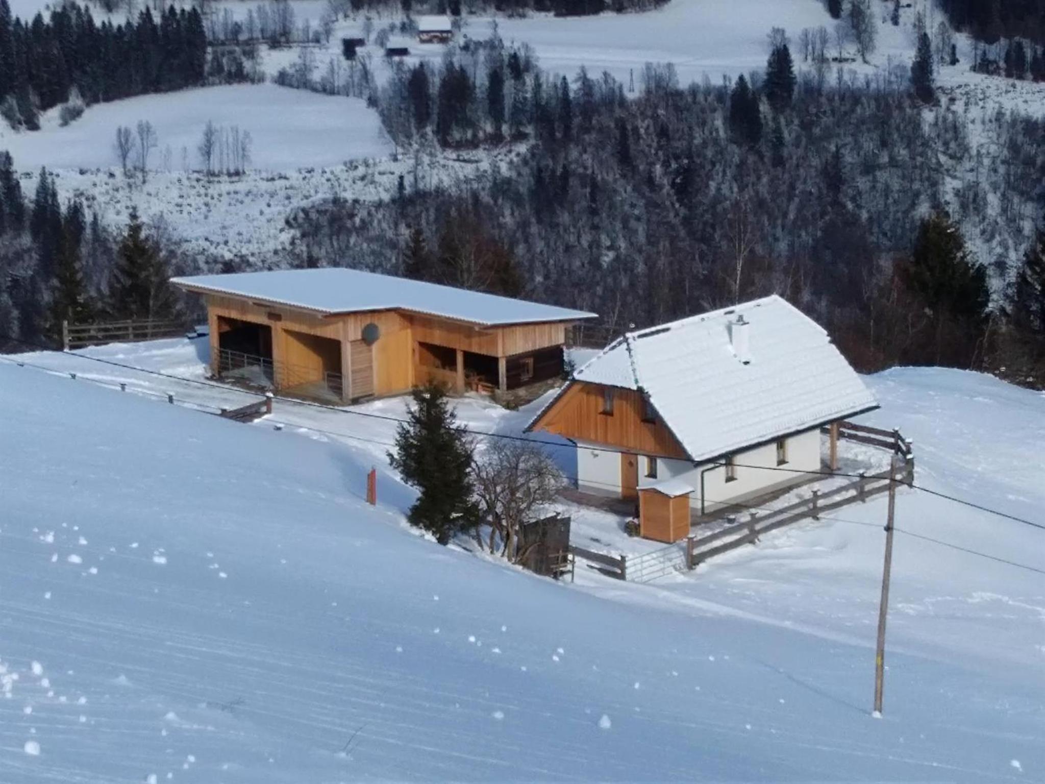 Premiumalmhütte Wiedhupf
