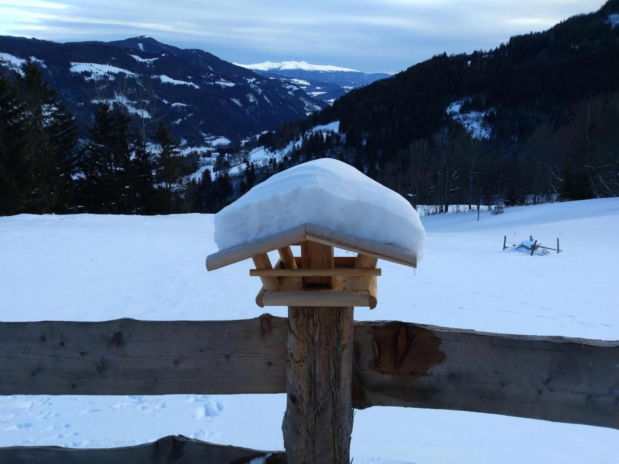Premiumalmhütte Wiedhupf