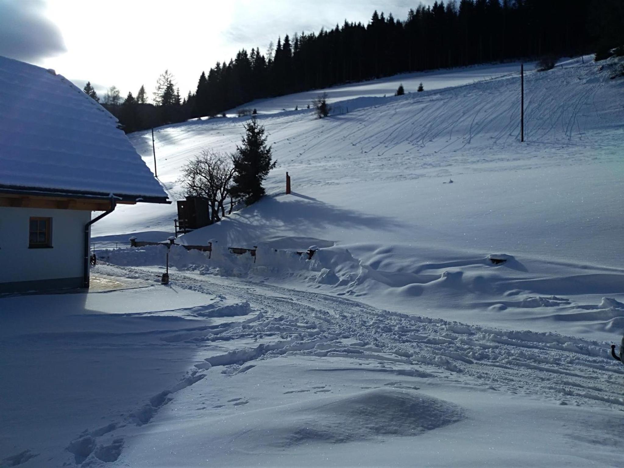 Premiumalmhütte Wiedhupf