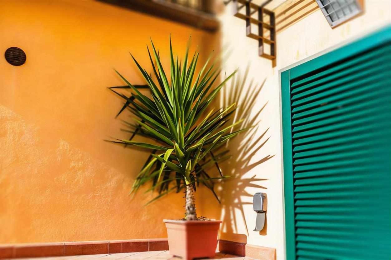 Advocata Nostra, vivere in case nel borgo view 4