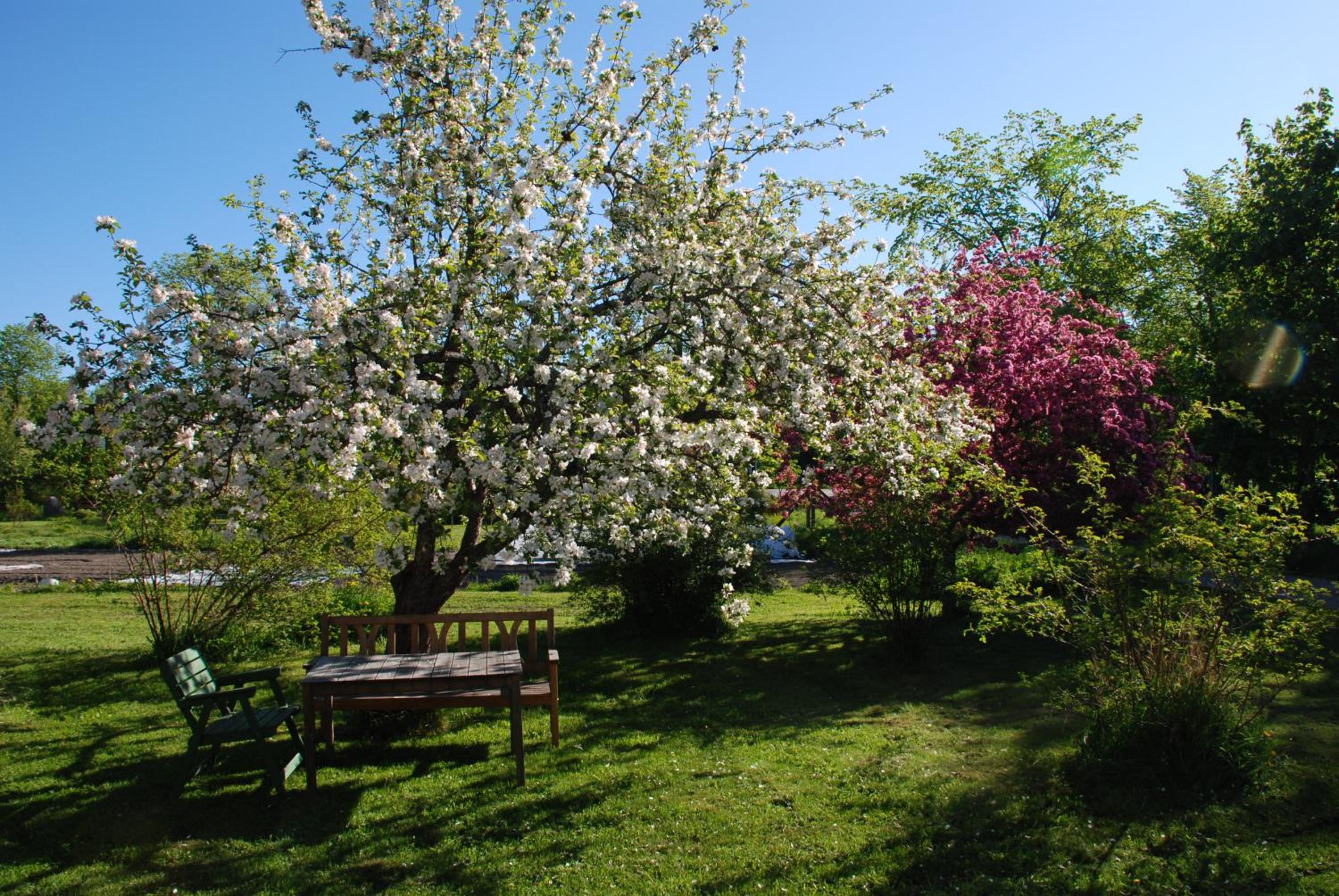 Fridhem Coursecenter & Guesthouse