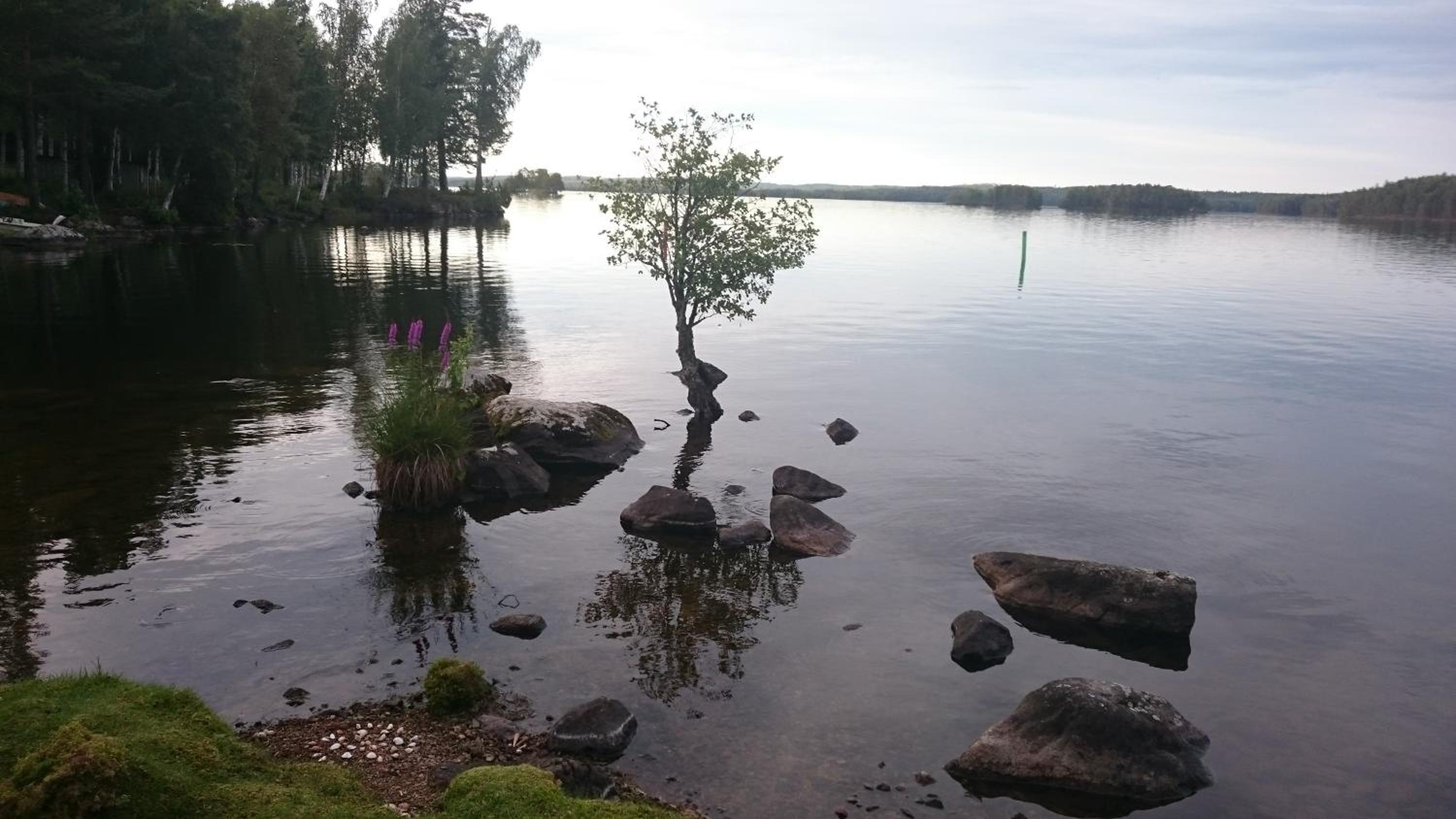 Fridhem Coursecenter & Guesthouse