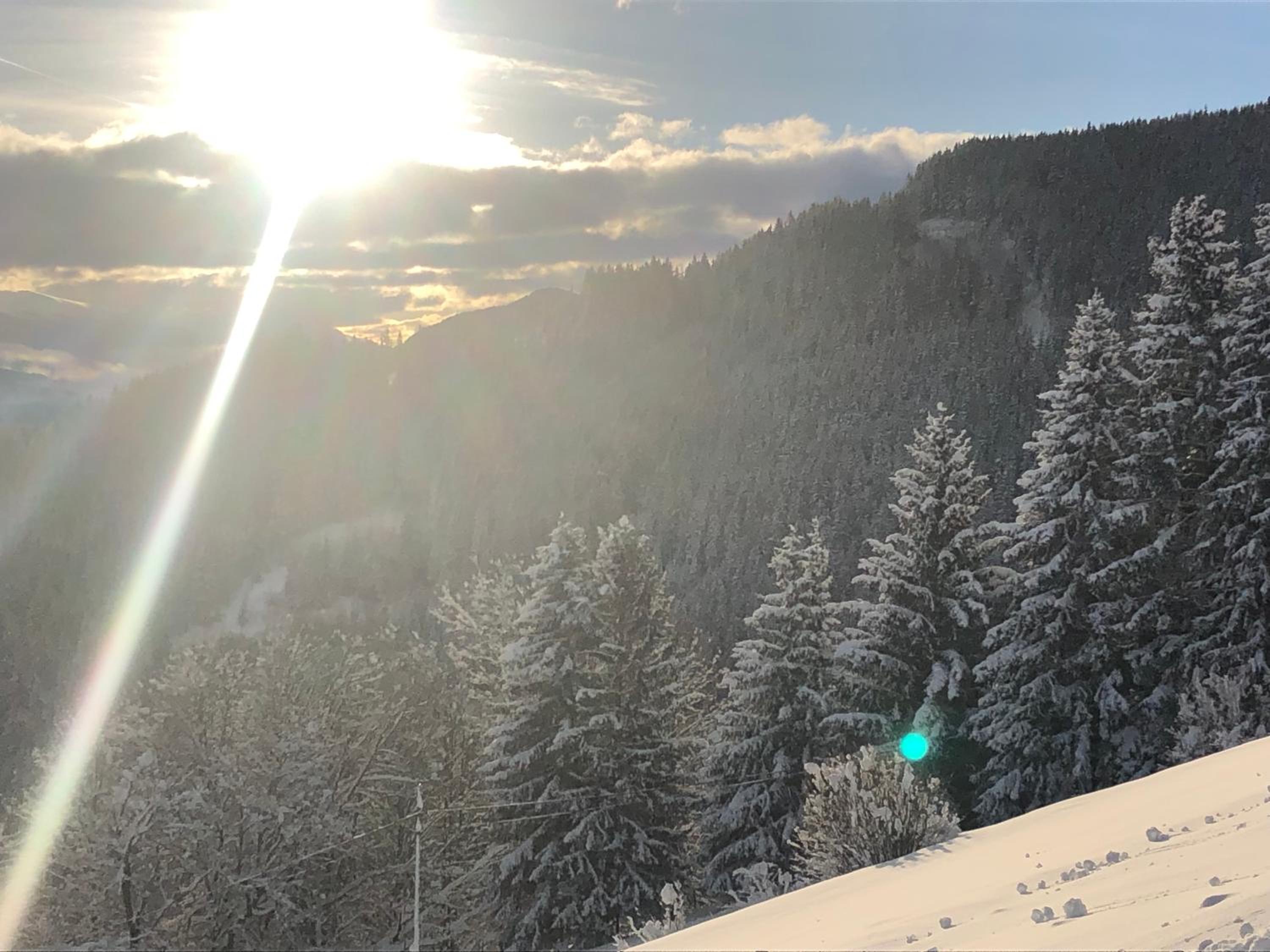 Premiumalmhütte Wiedhupf