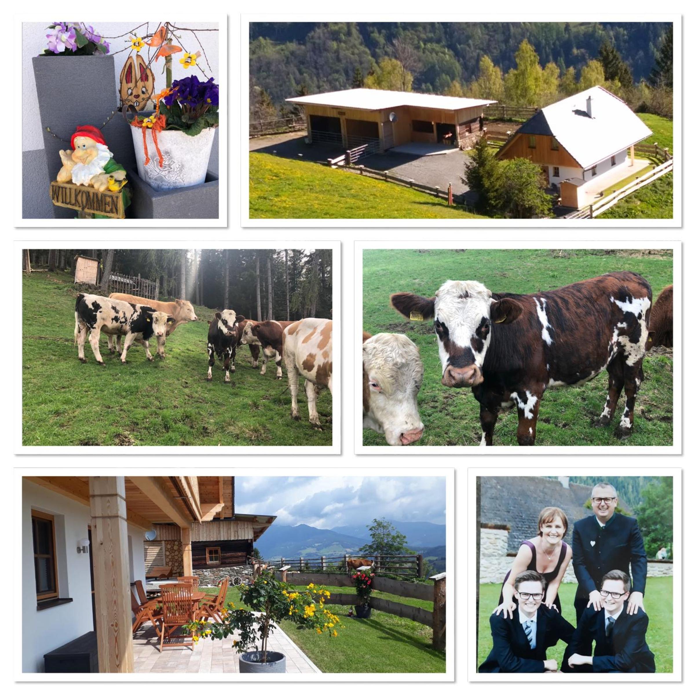 Premiumalmhütte Wiedhupf