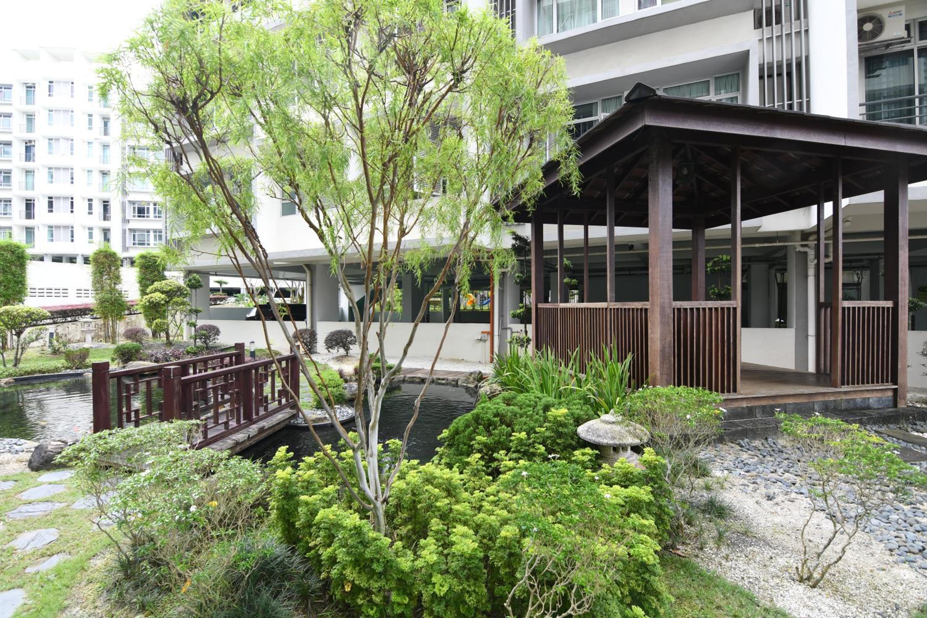 Mount Austin Midori Green 10 Pax Free Wi-Fi 500Mbps Netflix