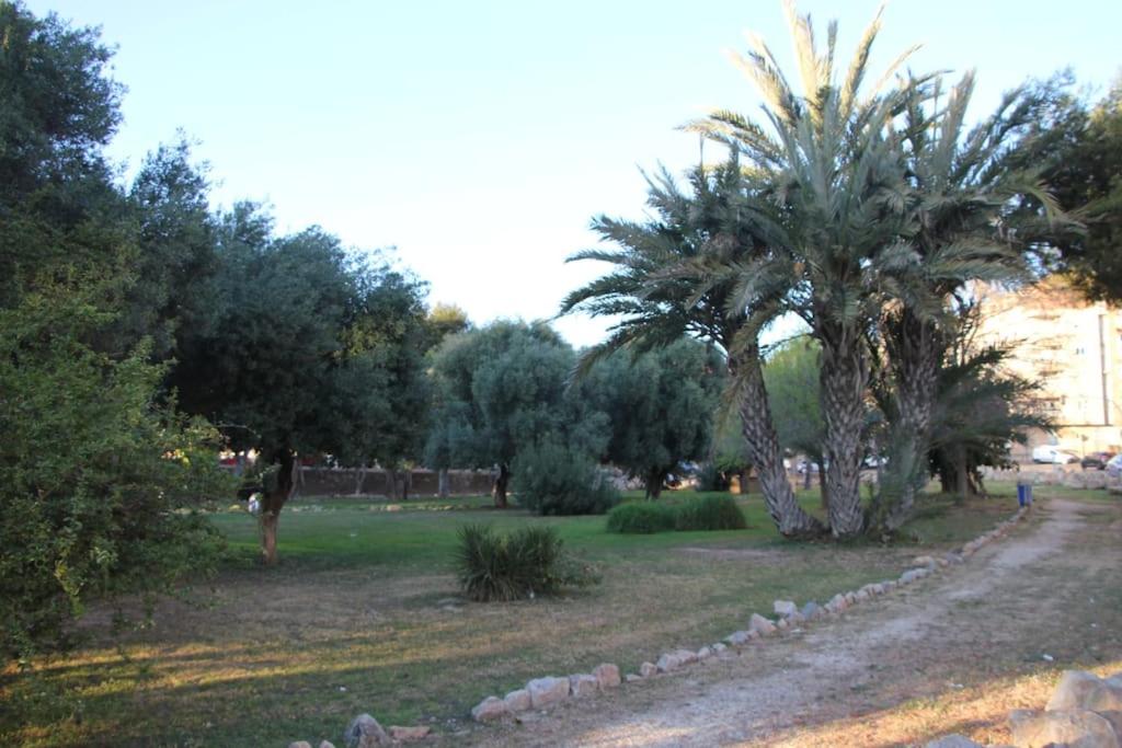 Tesoro del Eden