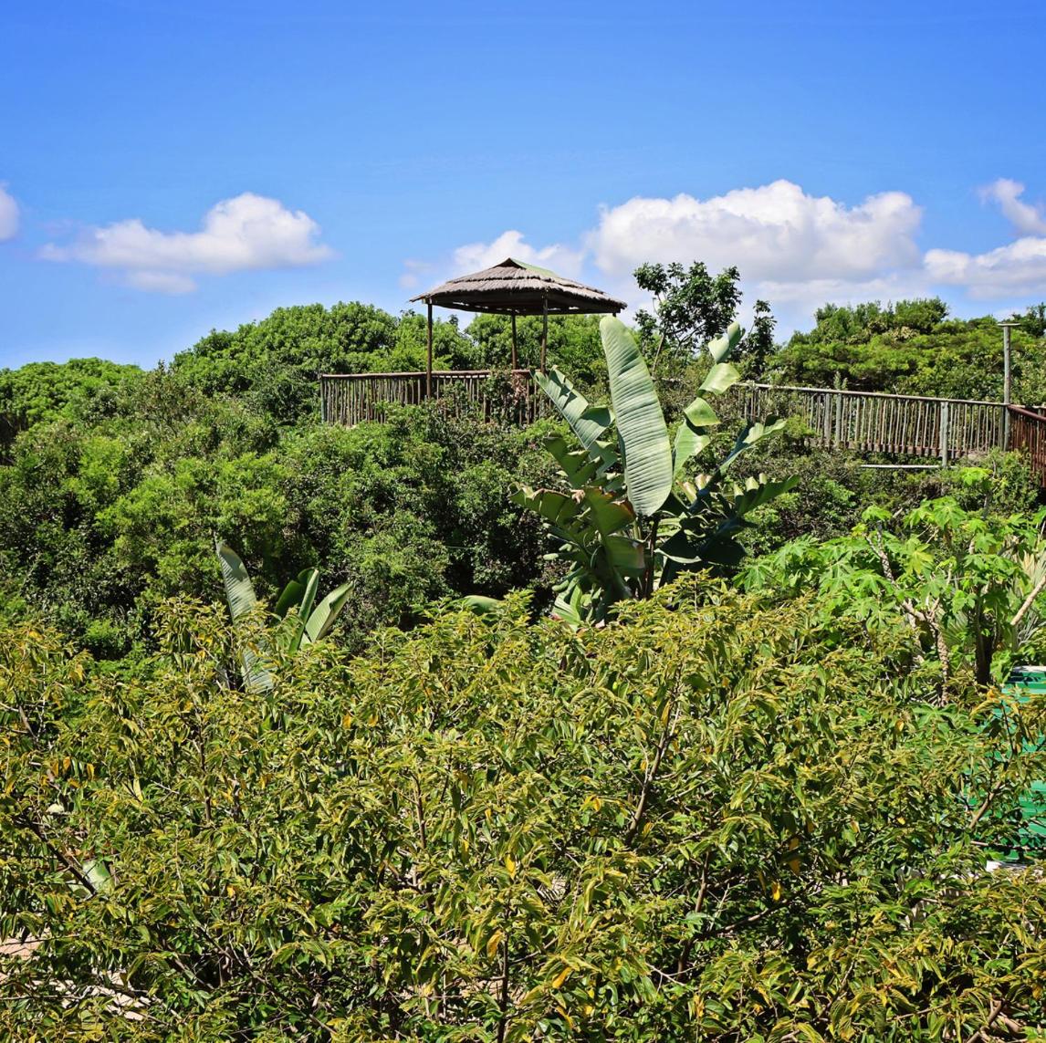Kosi Bay Lodge