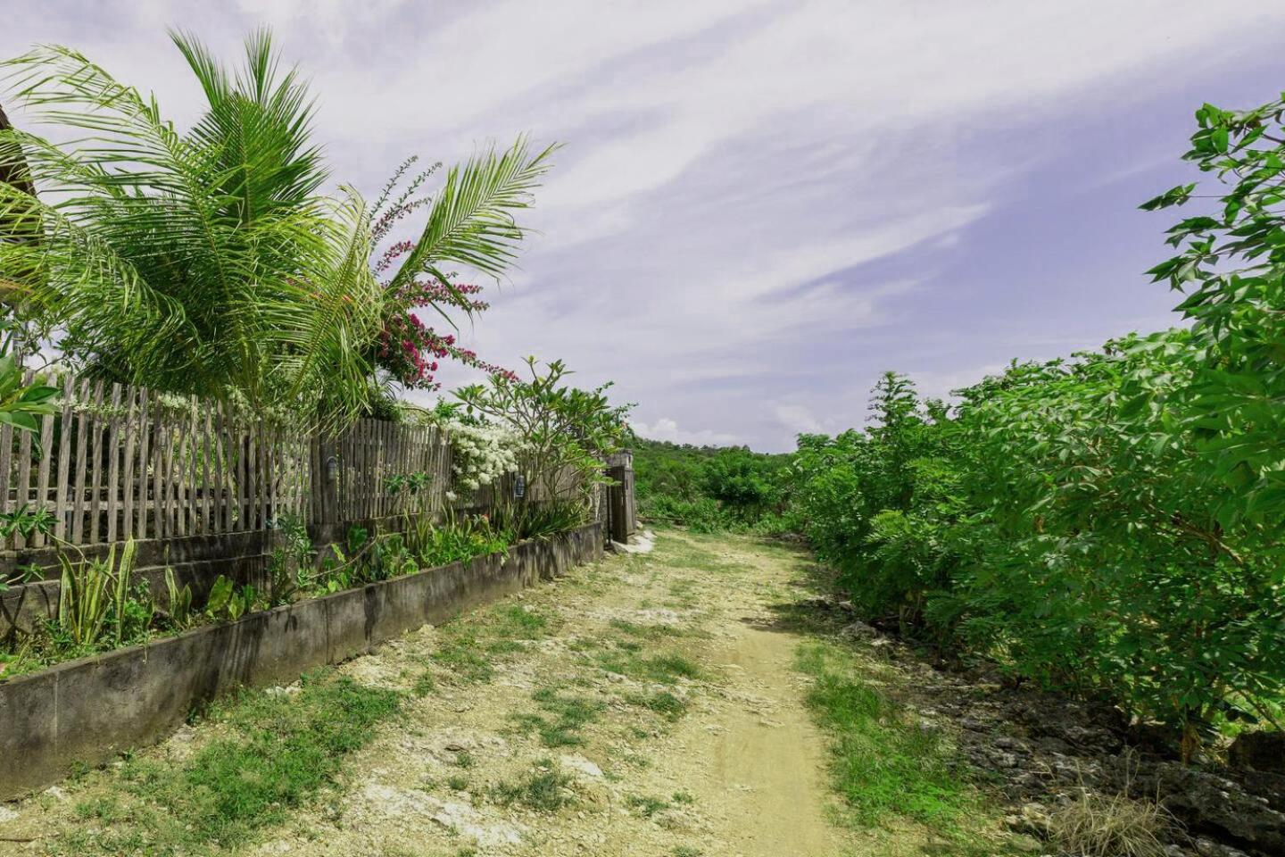 Photo 20