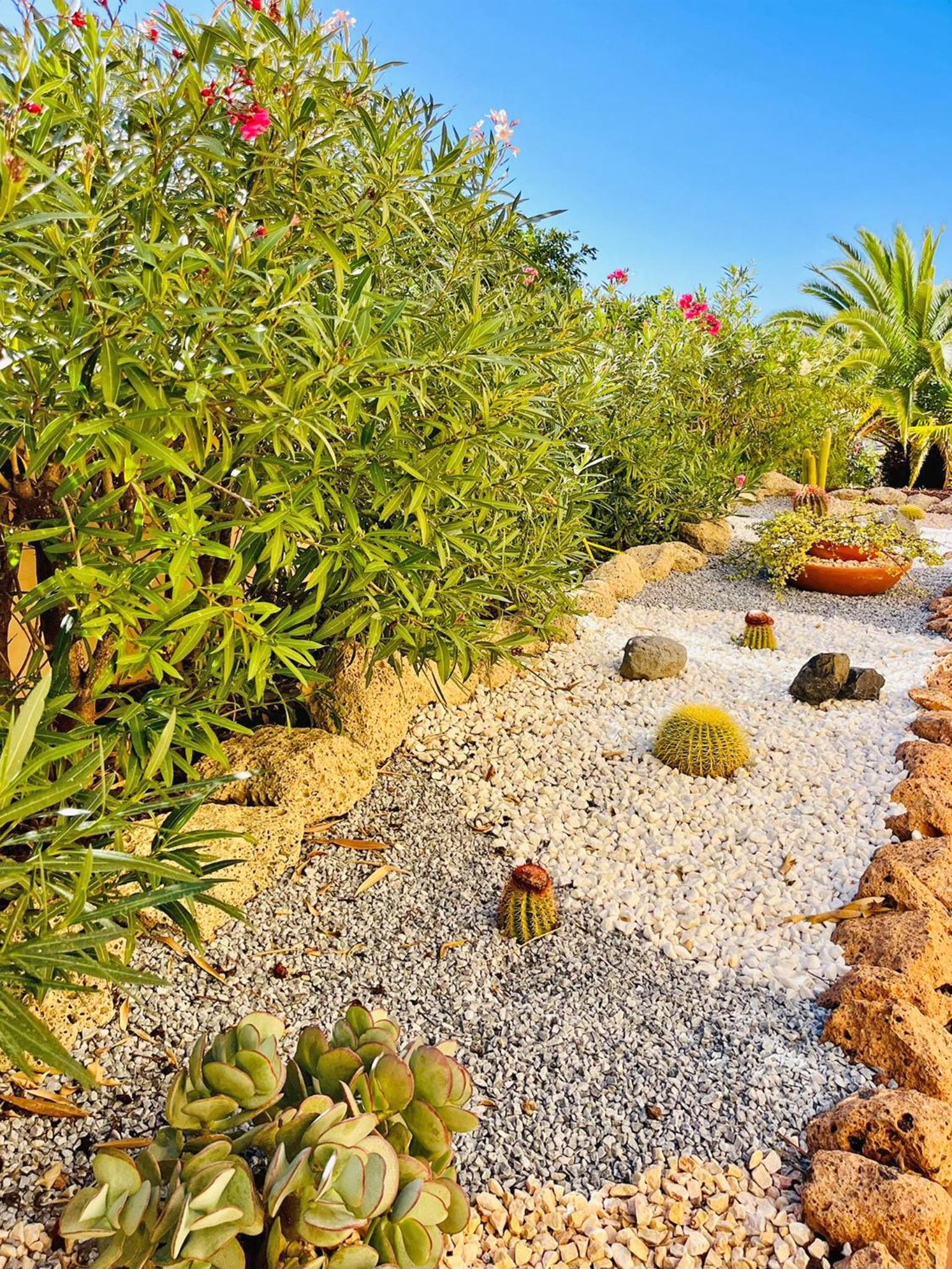Terraza del Mar