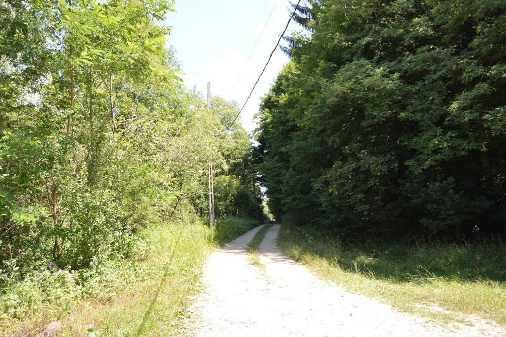 Cabanita