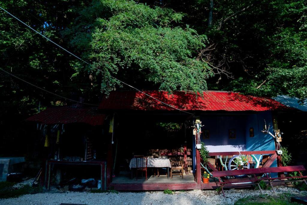 Cabanita