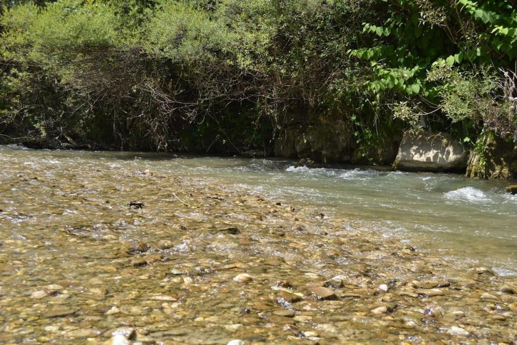 Cabanita