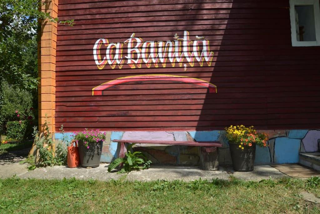 Cabanita