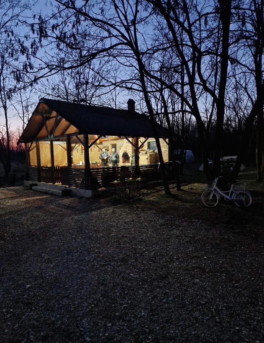 Photo 9
