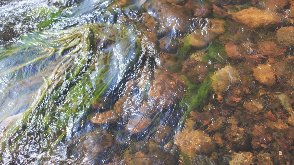 Photo 83