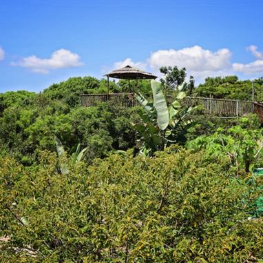 Kosi Bay Lodge