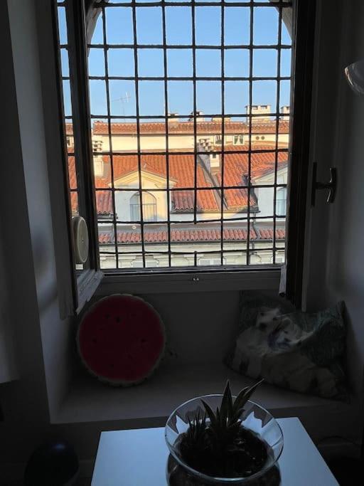 Piccola mansardina nel cuore di Torino photo 2