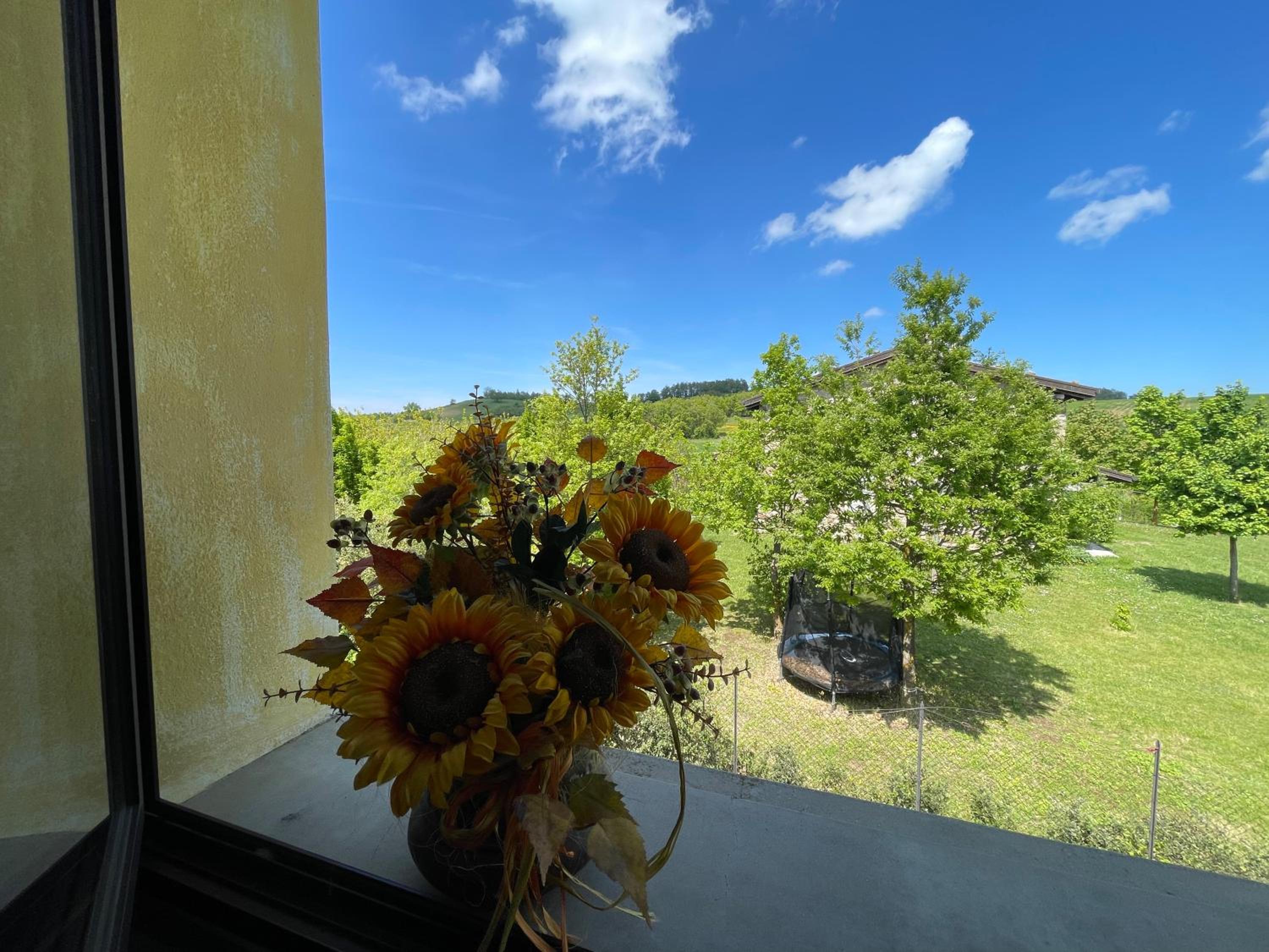 Villa Cavalieri in Vedriano view 2