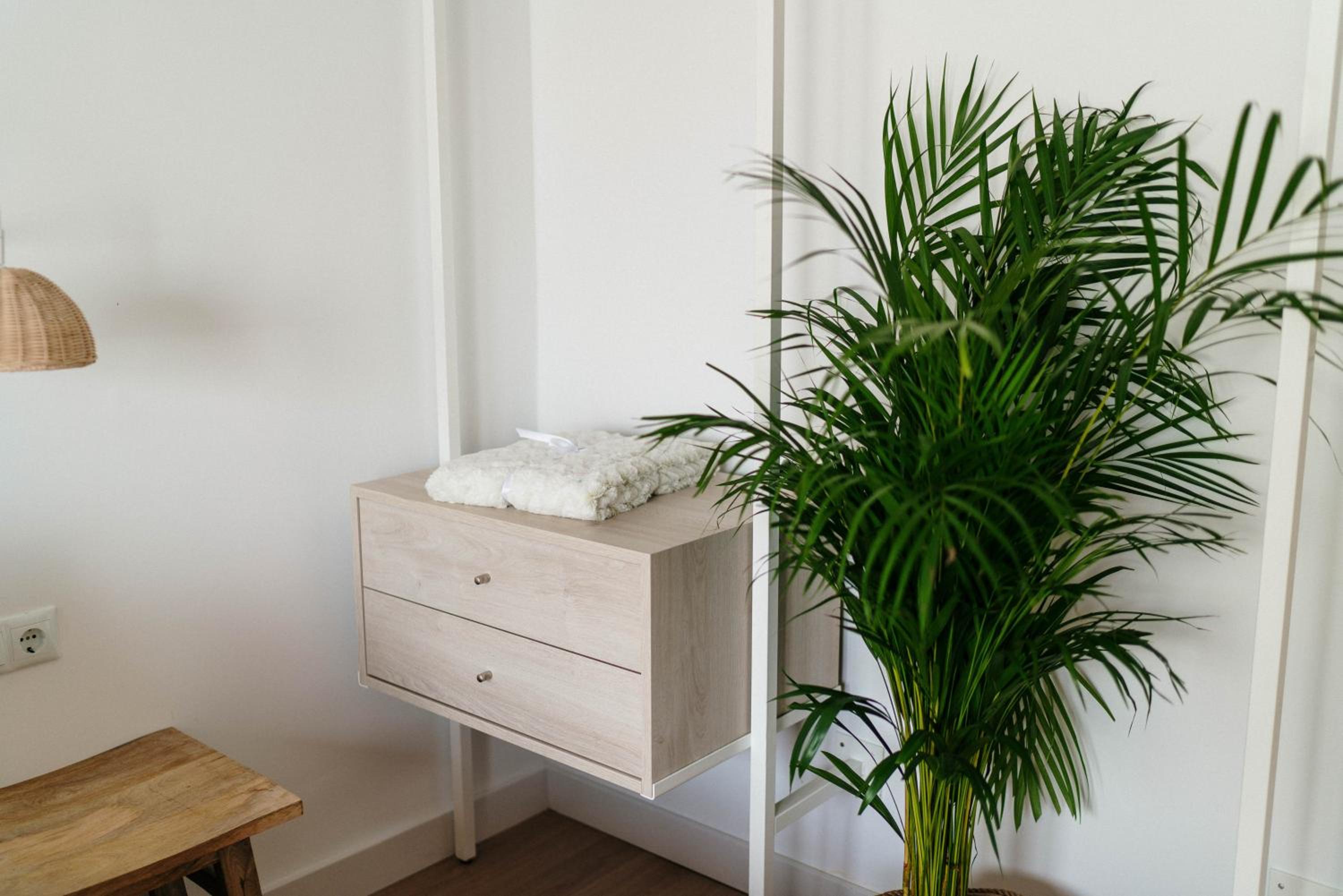 BF Rooms Carboneras