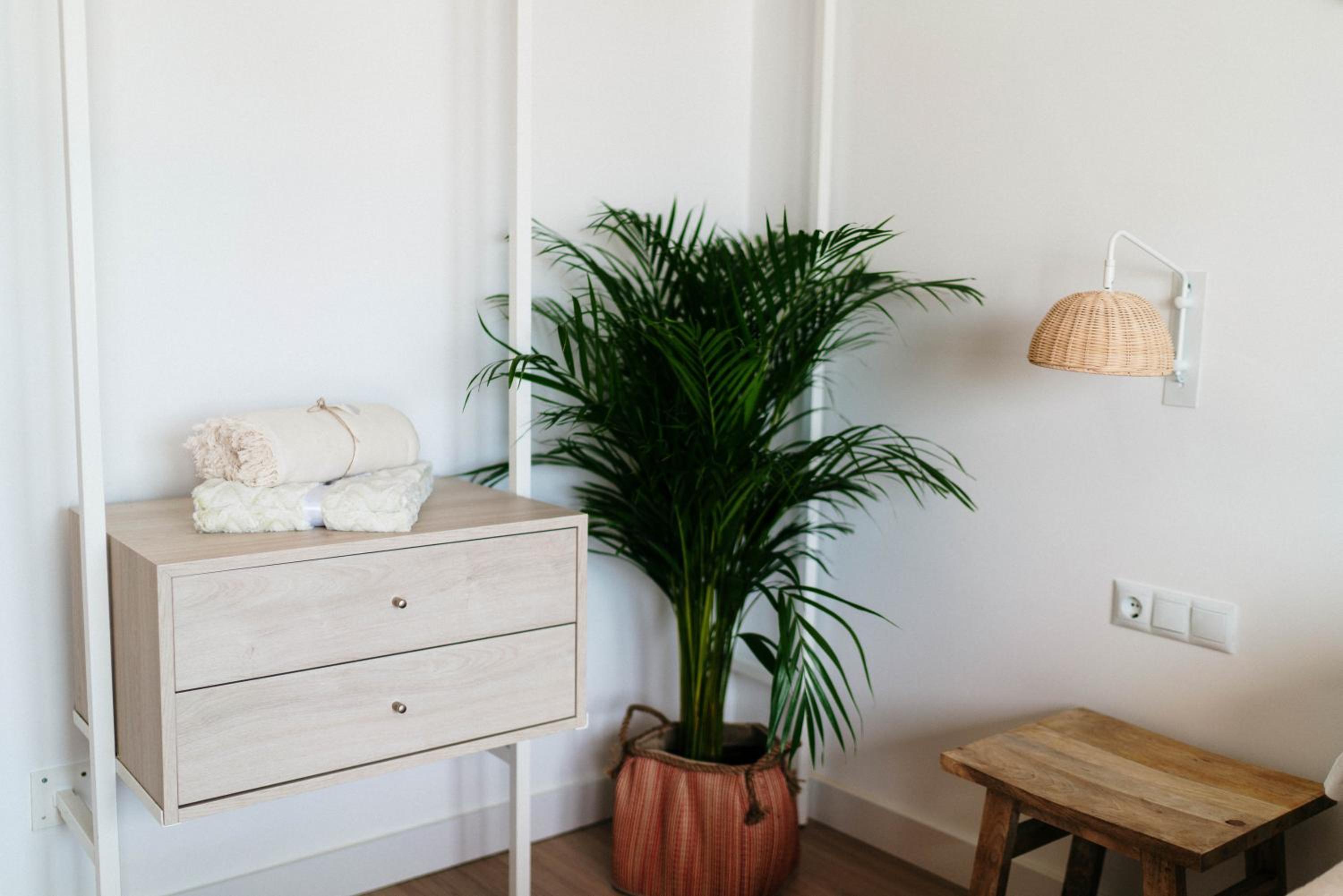 BF Rooms Carboneras