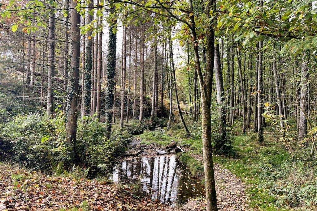 Forest Retreat nahe Köln - Private Sauna & Hot Tub