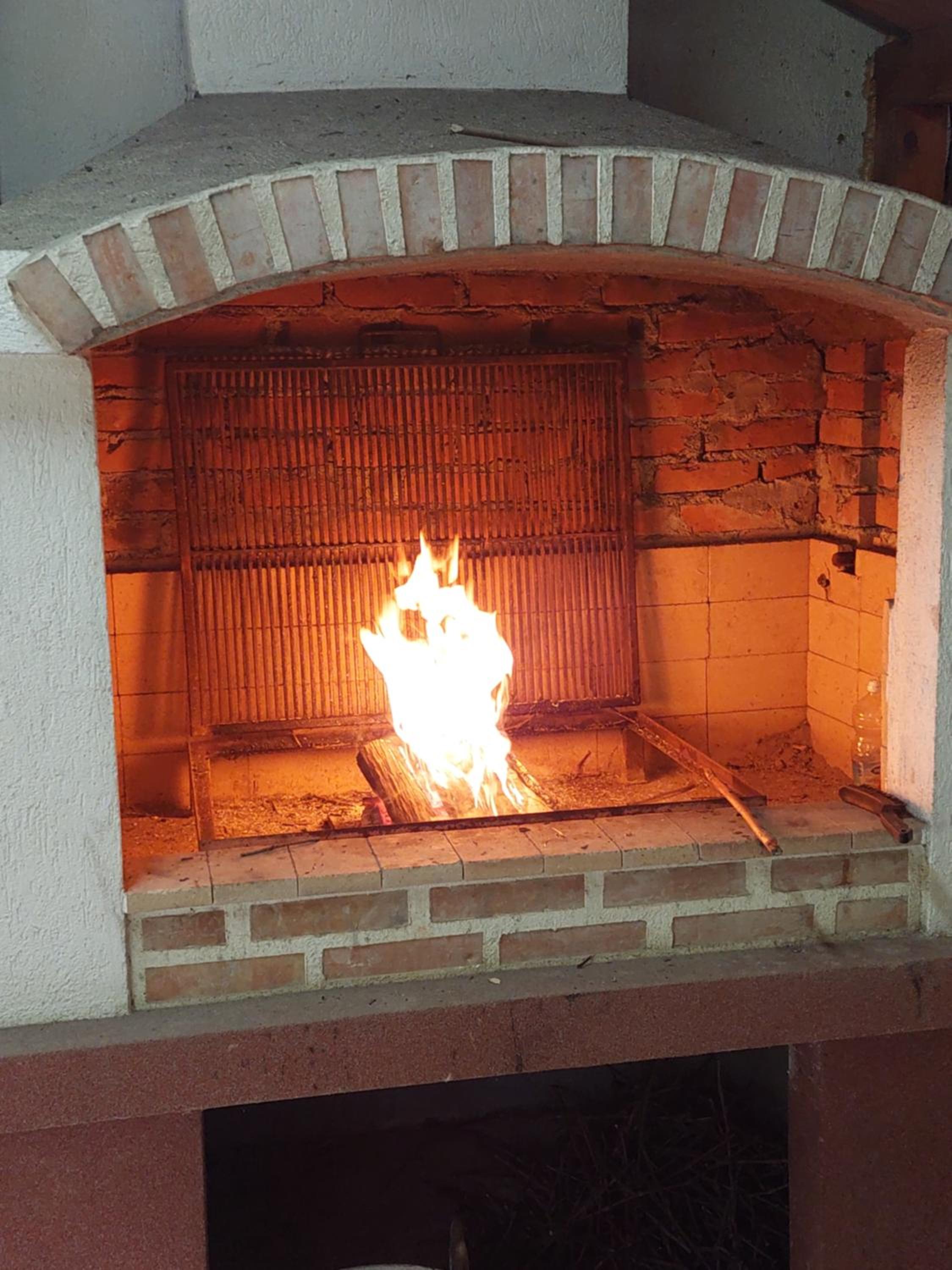 Vitez Koja