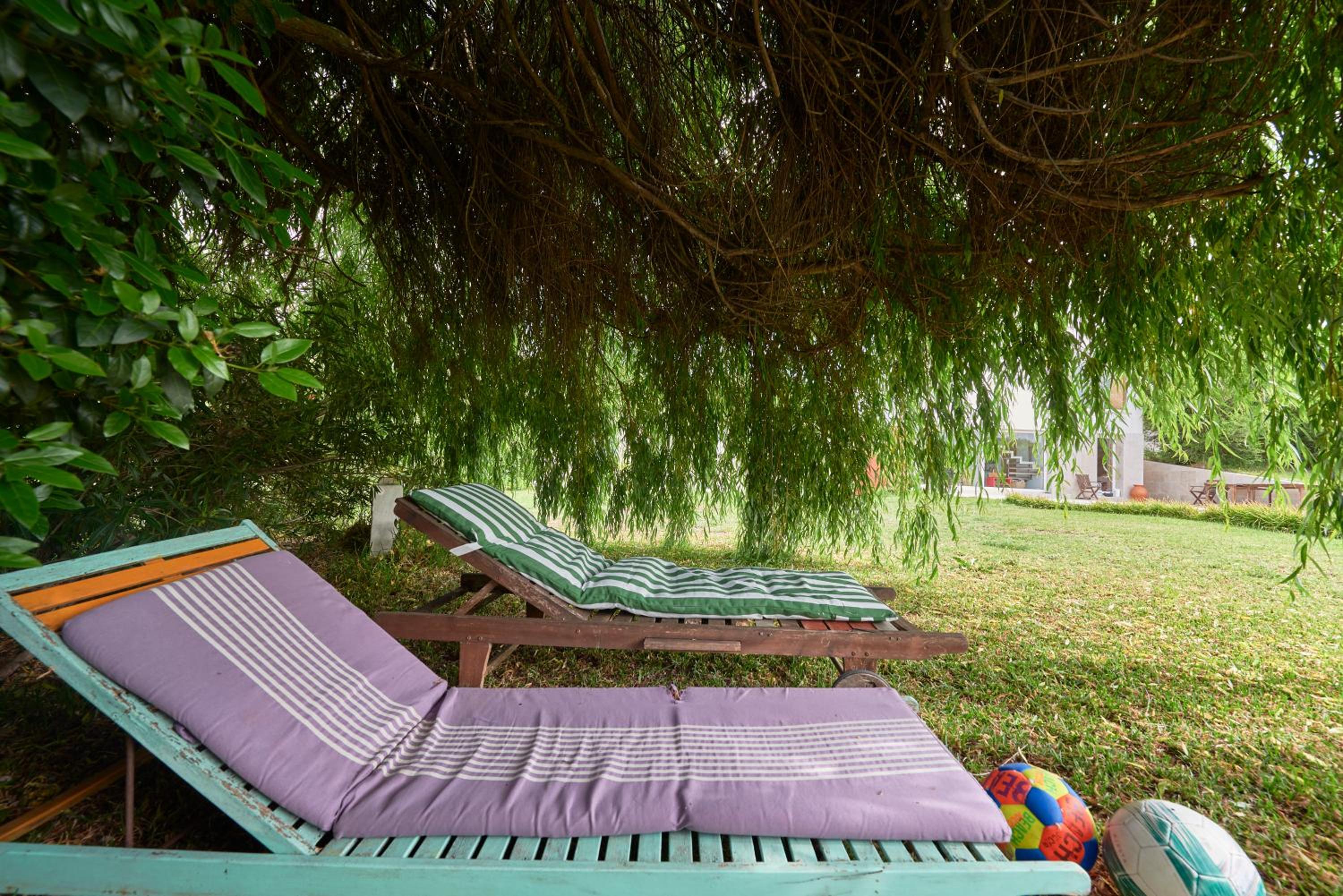 Quinta TreeWindBee view 3