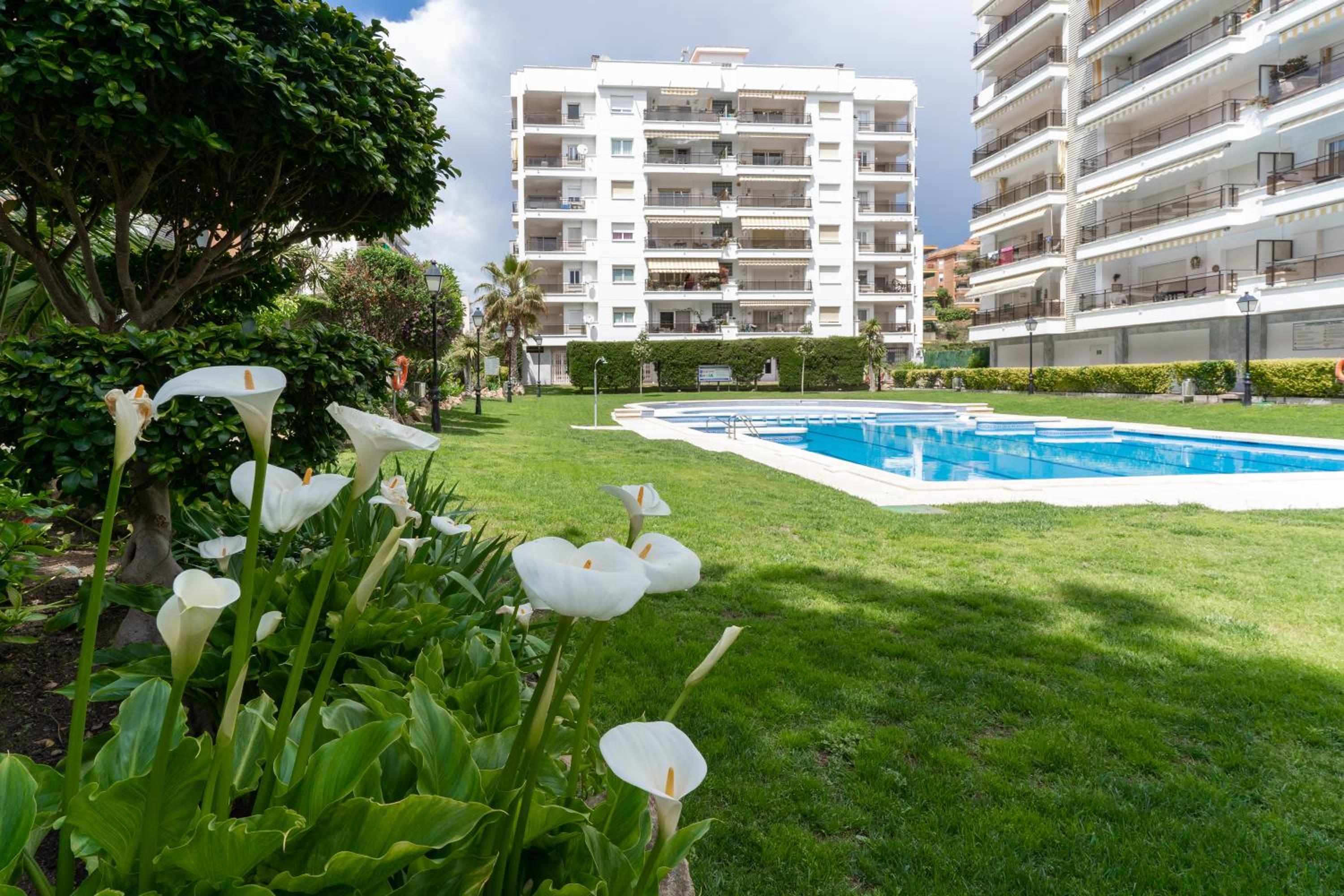 Alva Park Sunny apartment near the beach photo 4