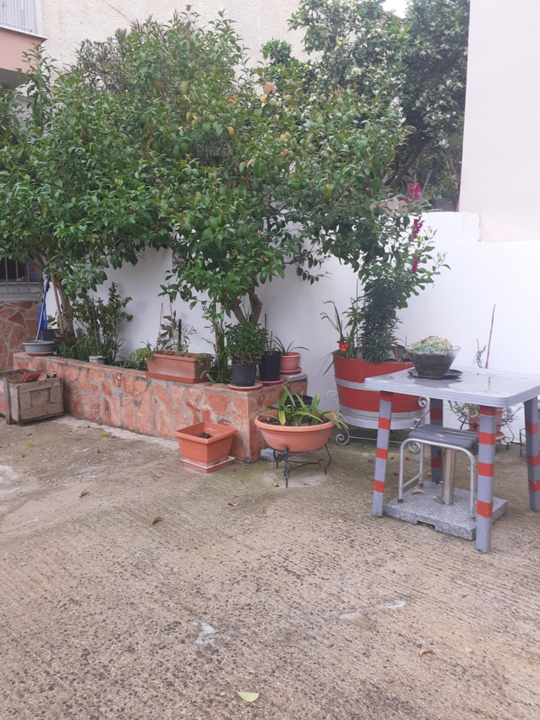 Vagelis 2 Nemea apartments