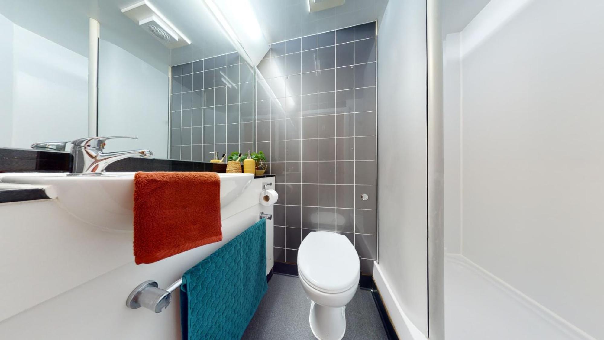 Ensuite Bedrooms With Shared Kitchen and 5 Bedroom Apartments at iQ Steel in Sheffield