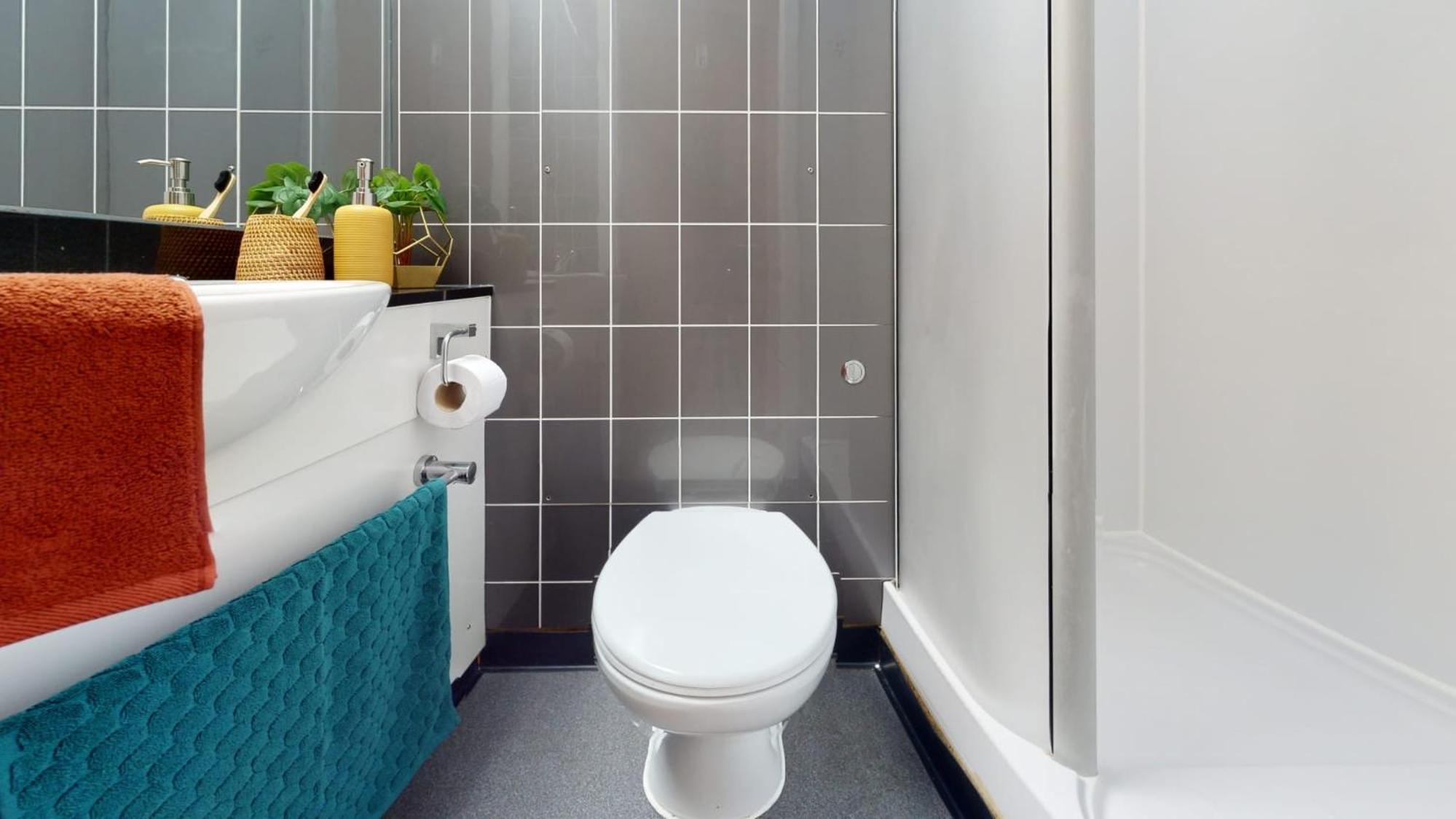 Ensuite Bedrooms With Shared Kitchen and 5 Bedroom Apartments at iQ Steel in Sheffield