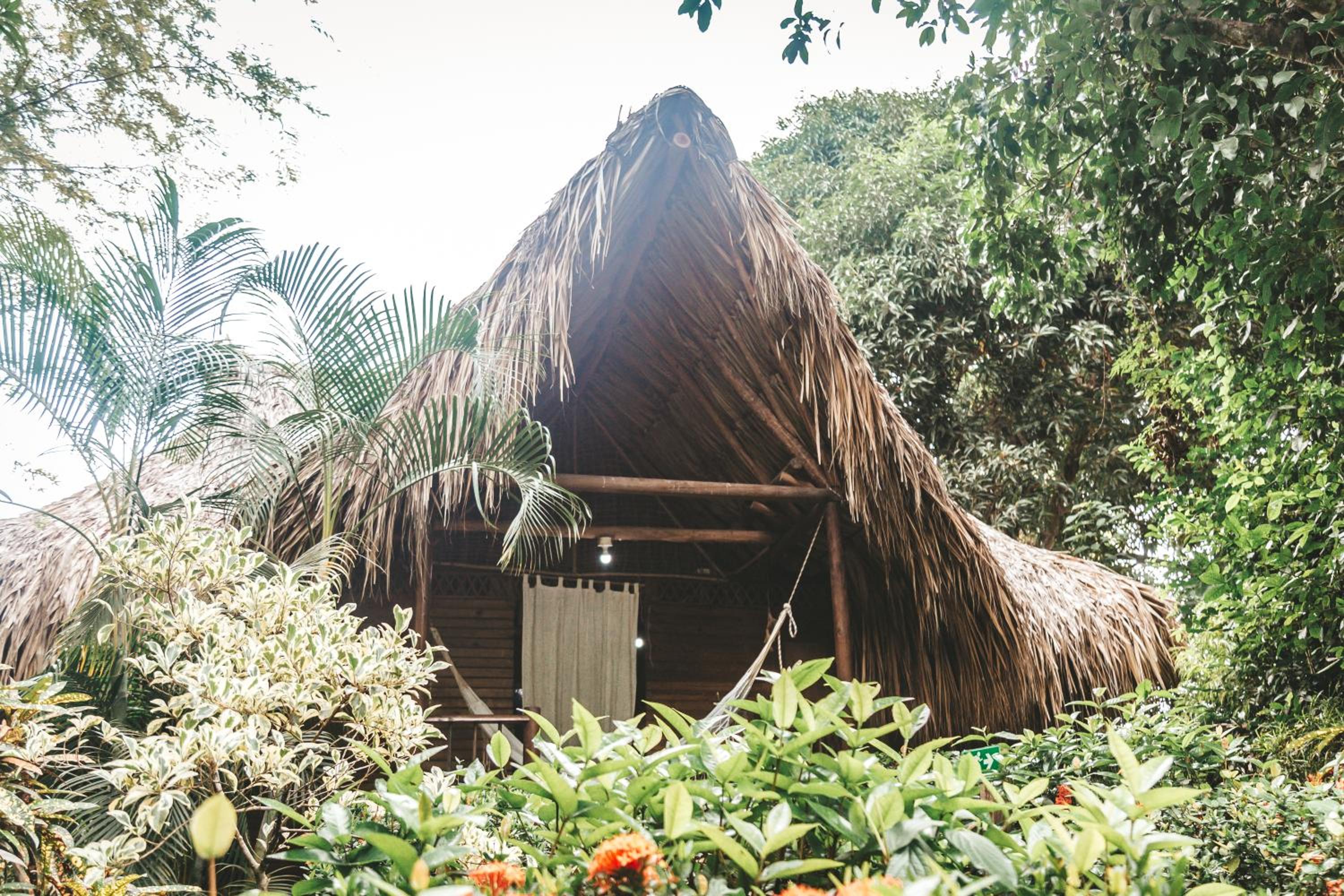 Cabaña Wiwa Tayrona