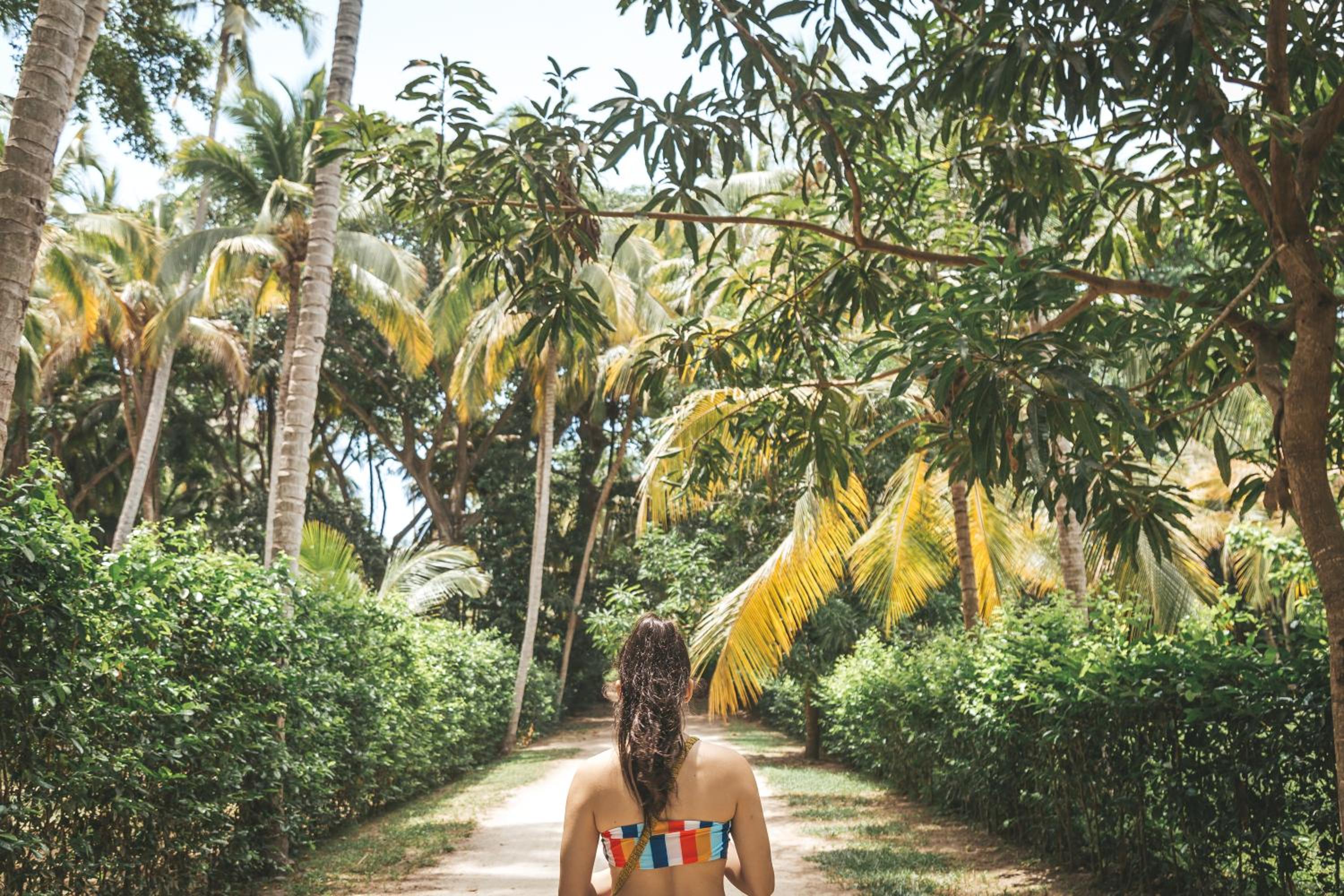 Cabaña Wiwa Tayrona