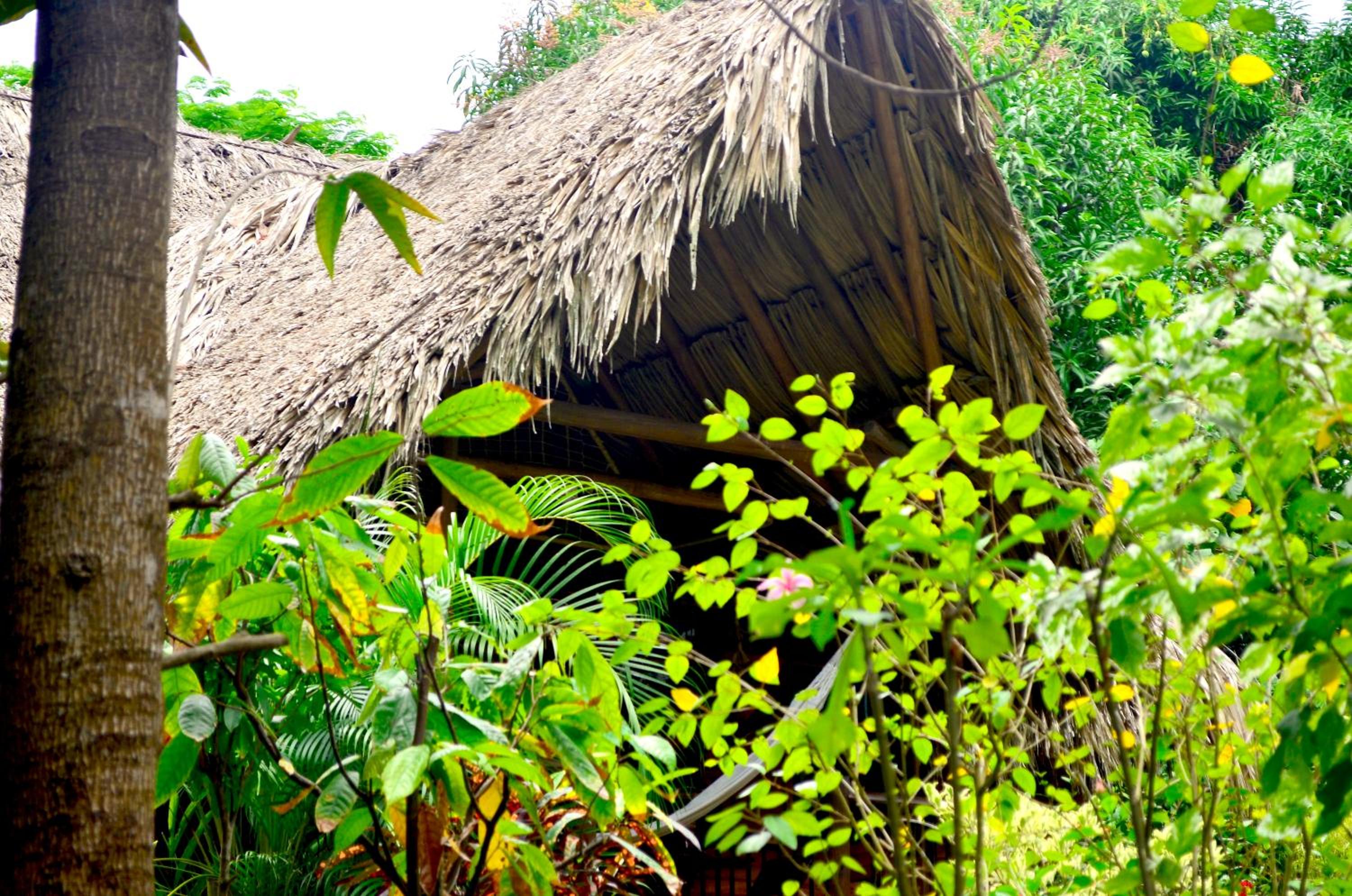 Cabaña Wiwa Tayrona