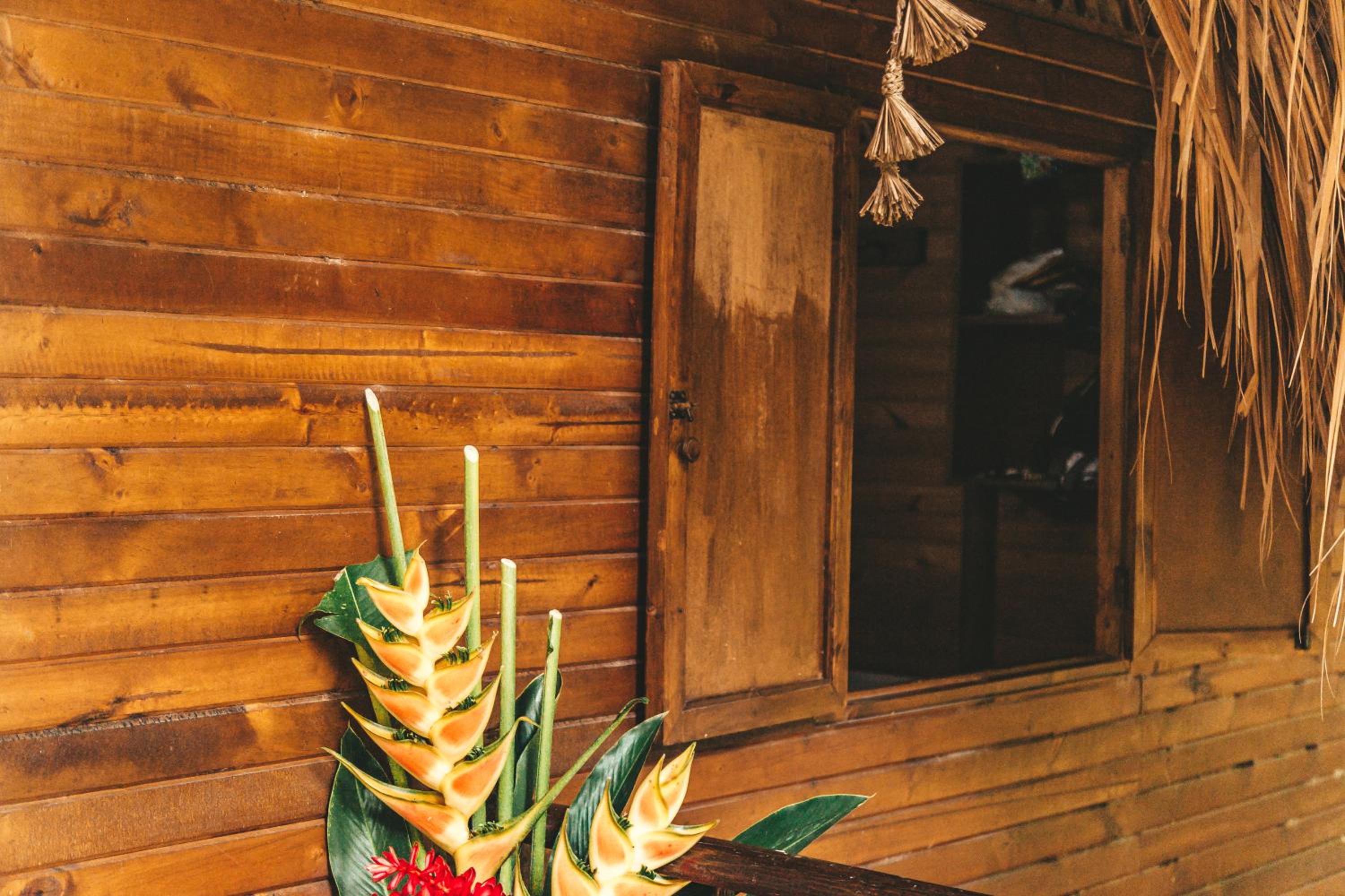 Cabaña Wiwa Tayrona