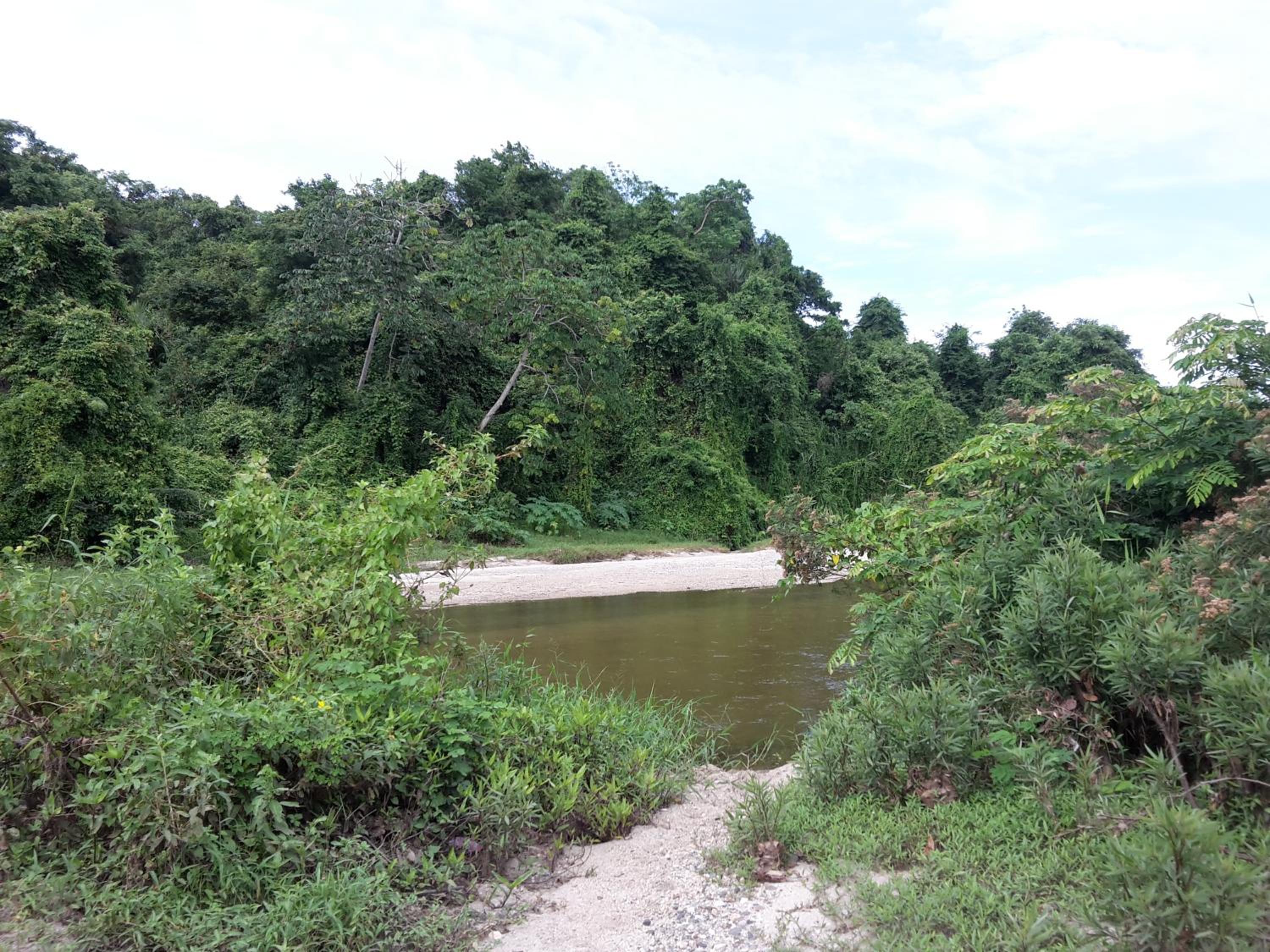 Cabaña Wiwa Tayrona